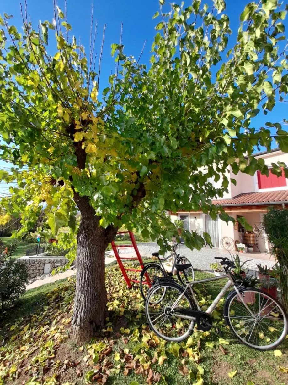 Natural landscape in Giuliva B&B