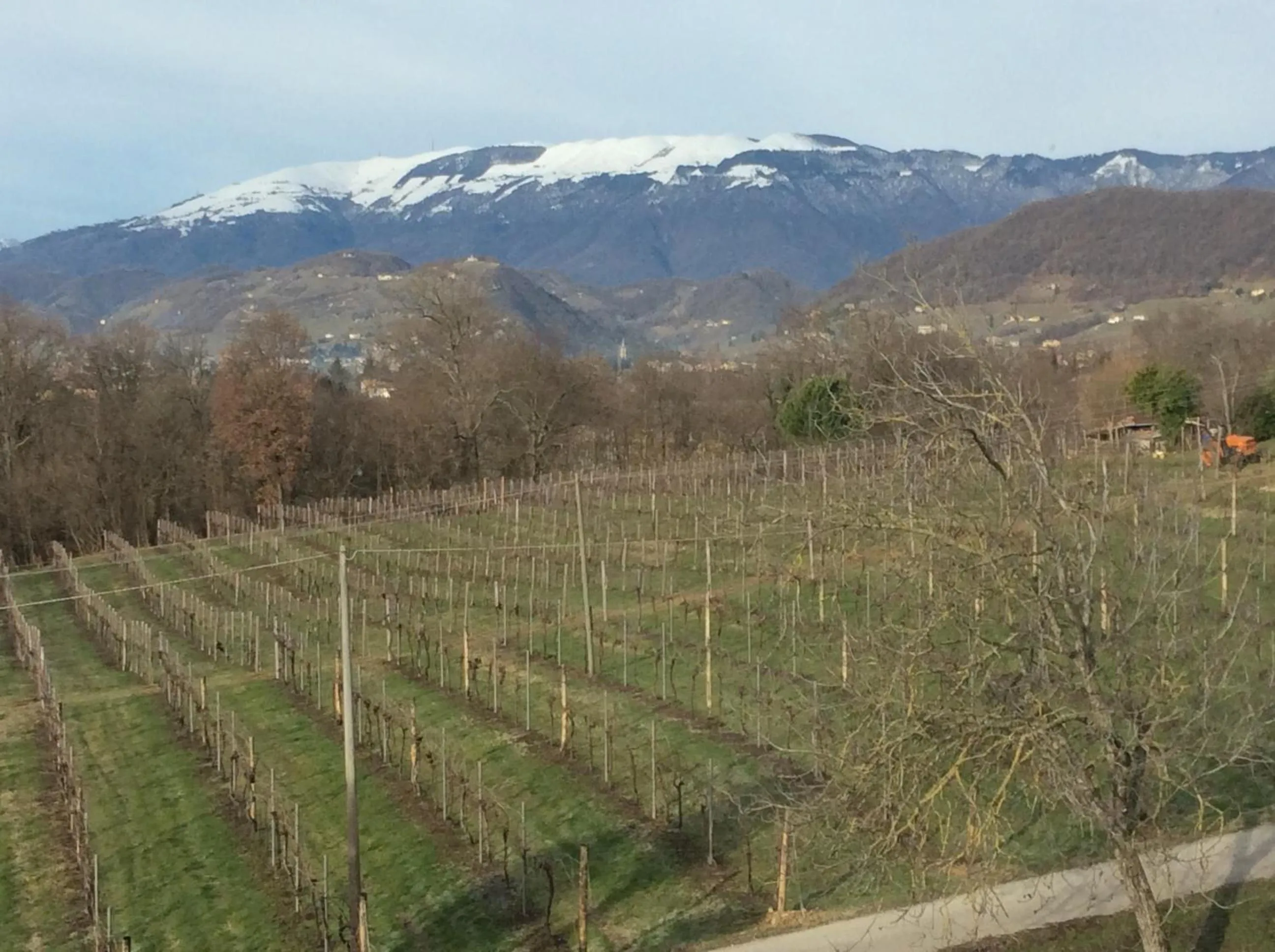 Natural landscape in Giuliva B&B