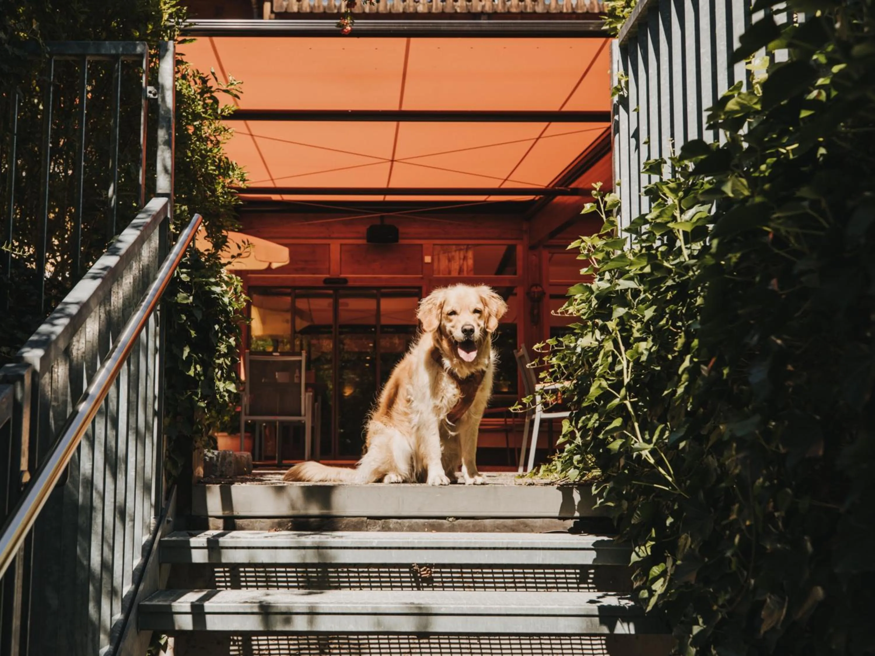 Balcony/Terrace in Hotel Zimba