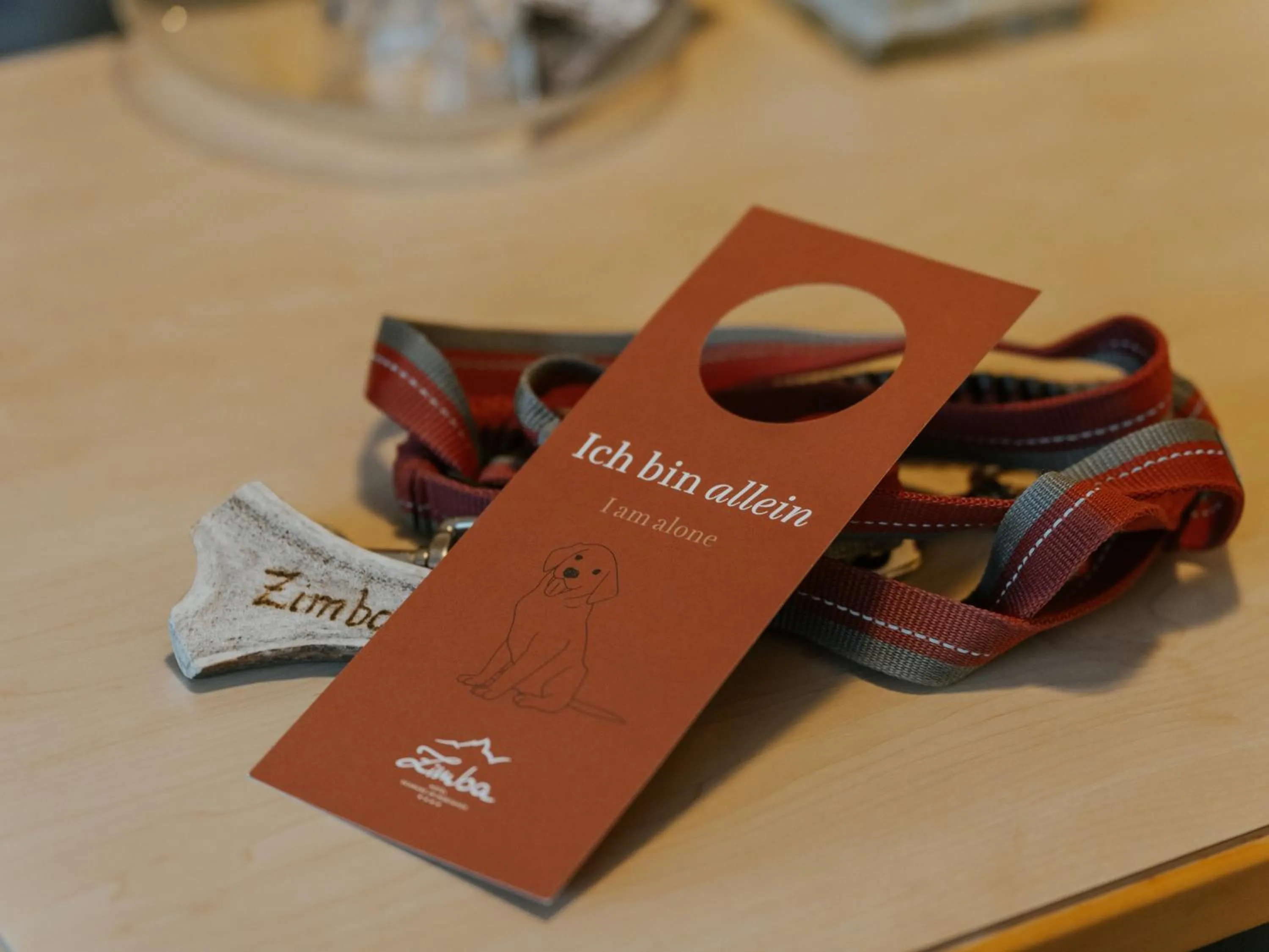 Photo of the whole room in Hotel Zimba