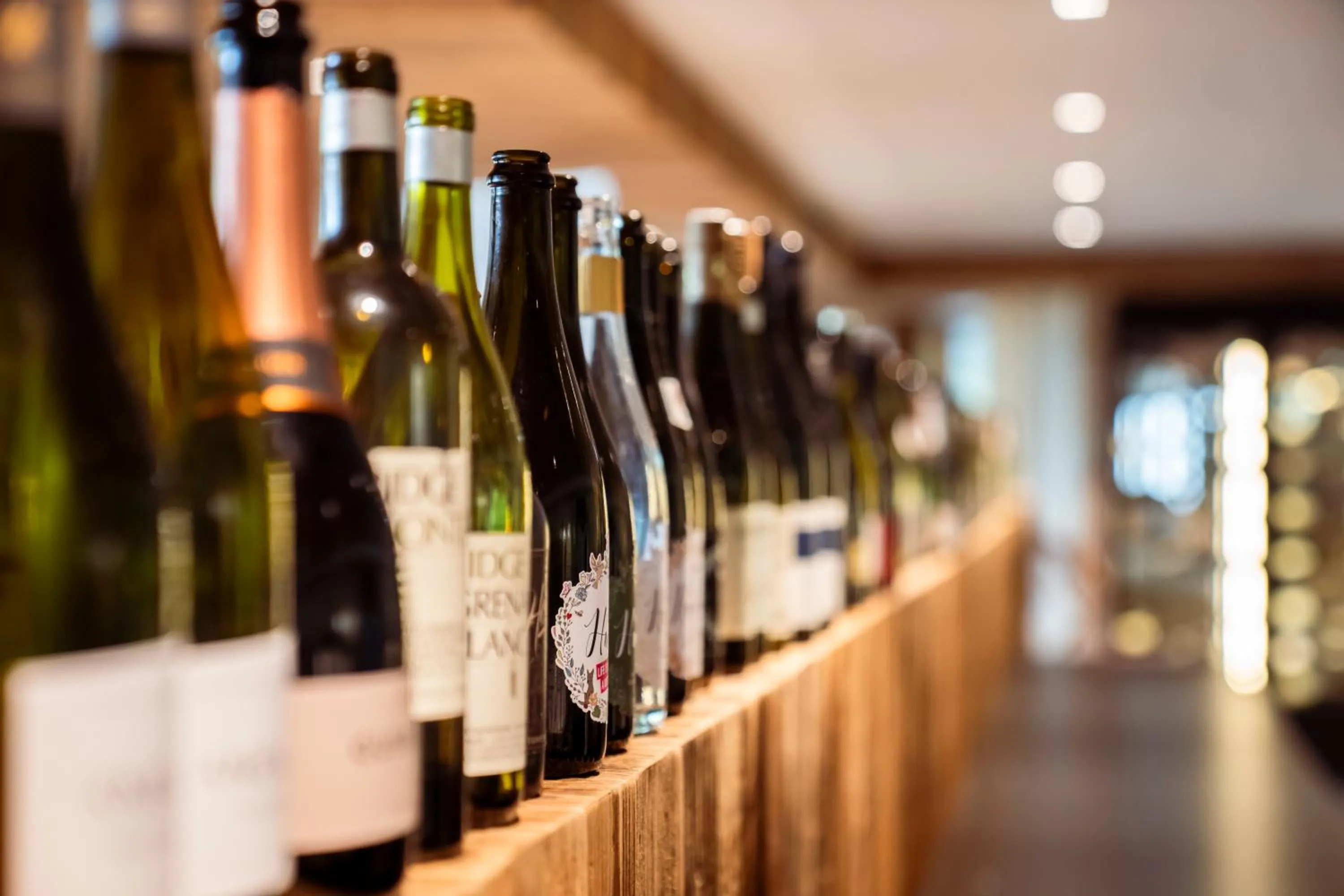 Hotel Schöne Aussicht