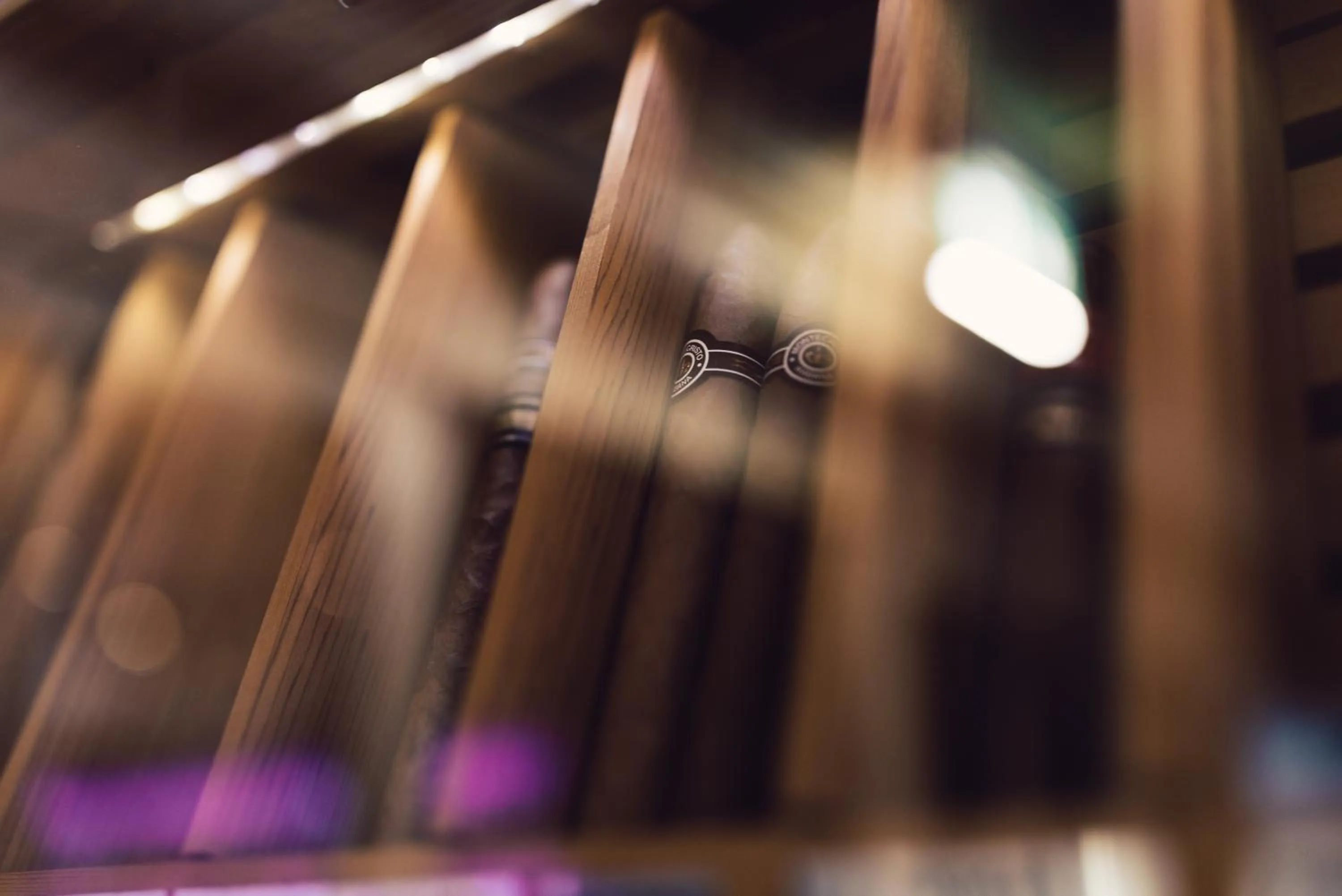 Lounge or bar in Hotel Schöne Aussicht