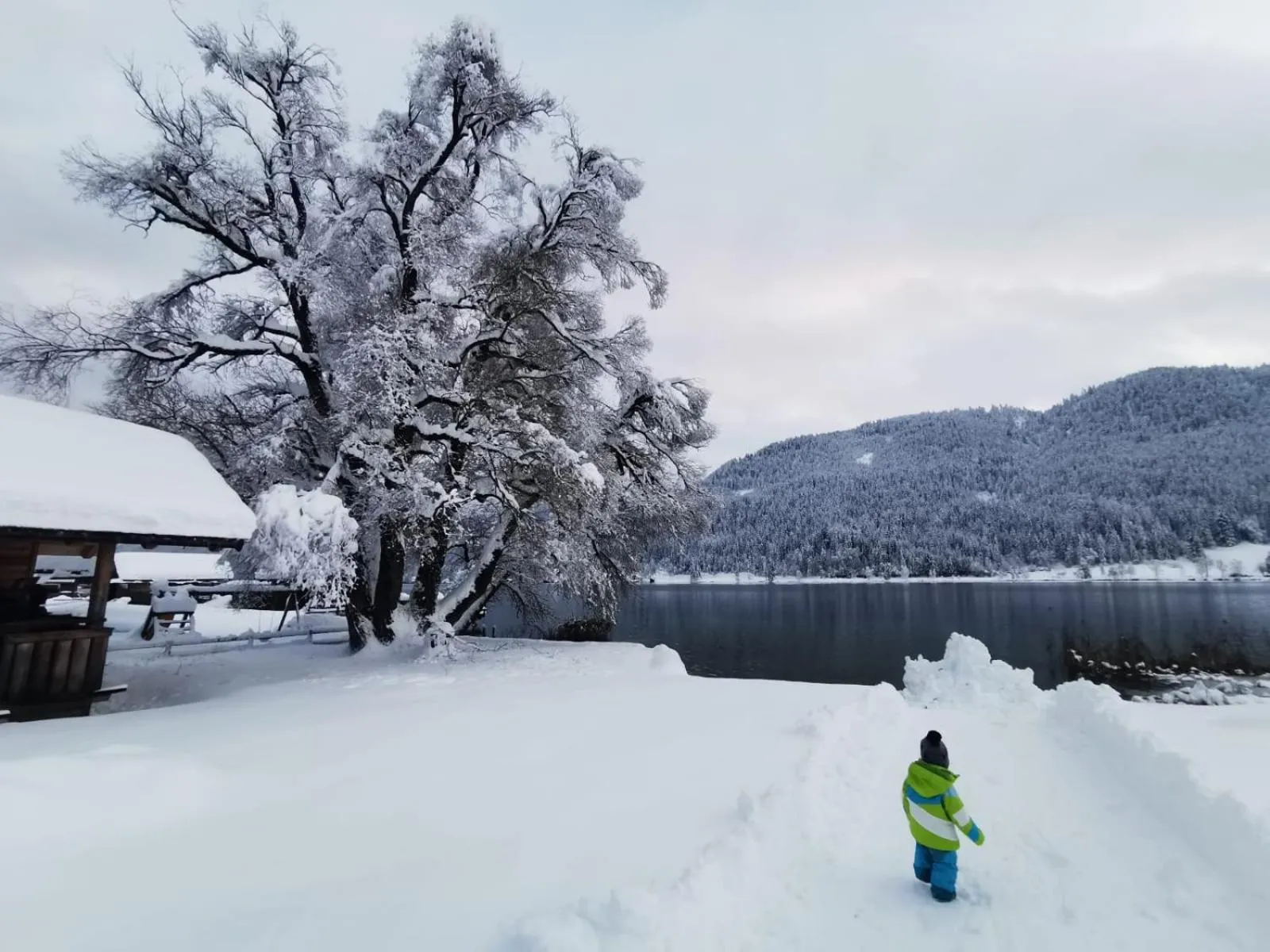 Natural landscape in Ferienhof Neusacher Moser
