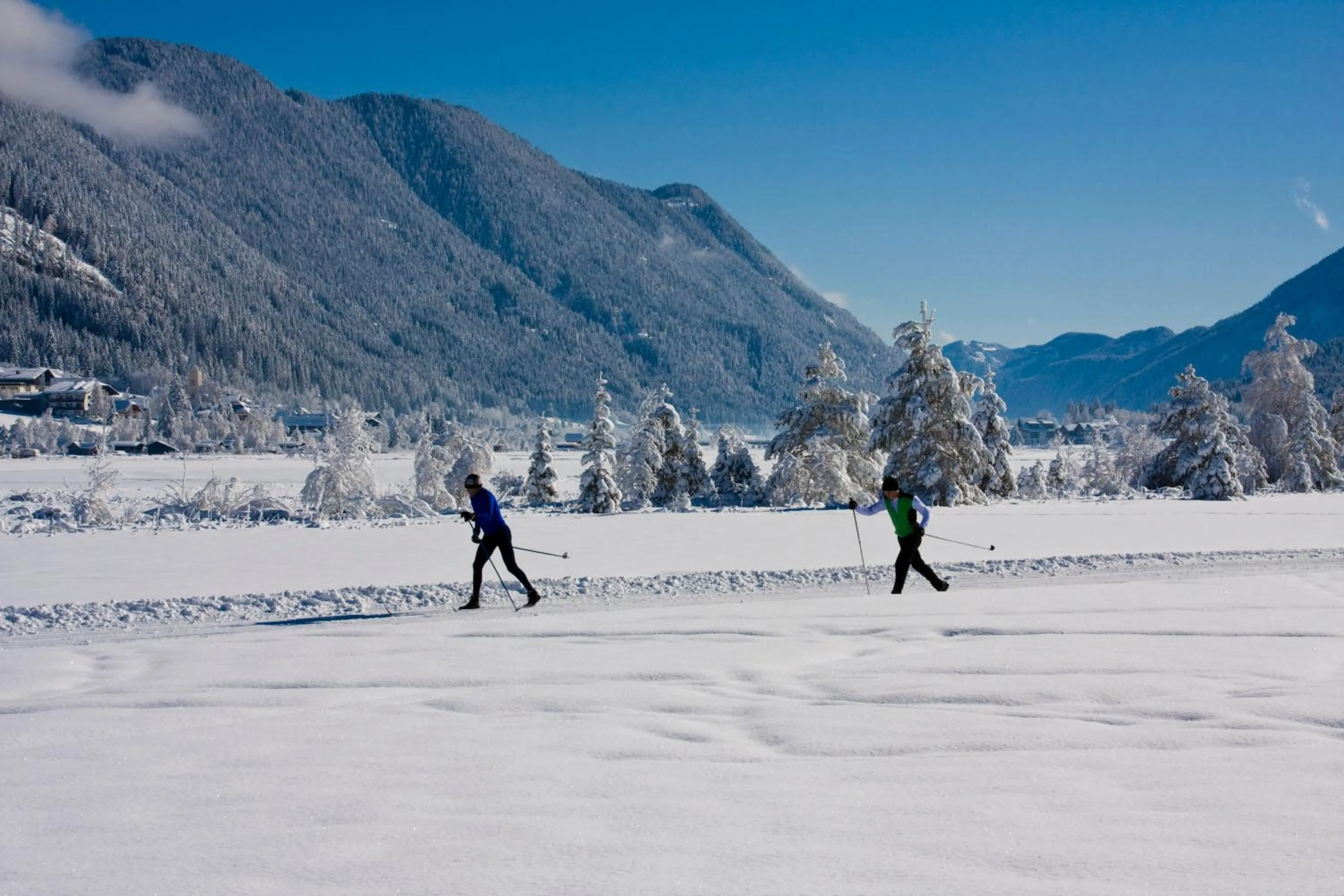 Natural landscape in Ferienhof Neusacher Moser
