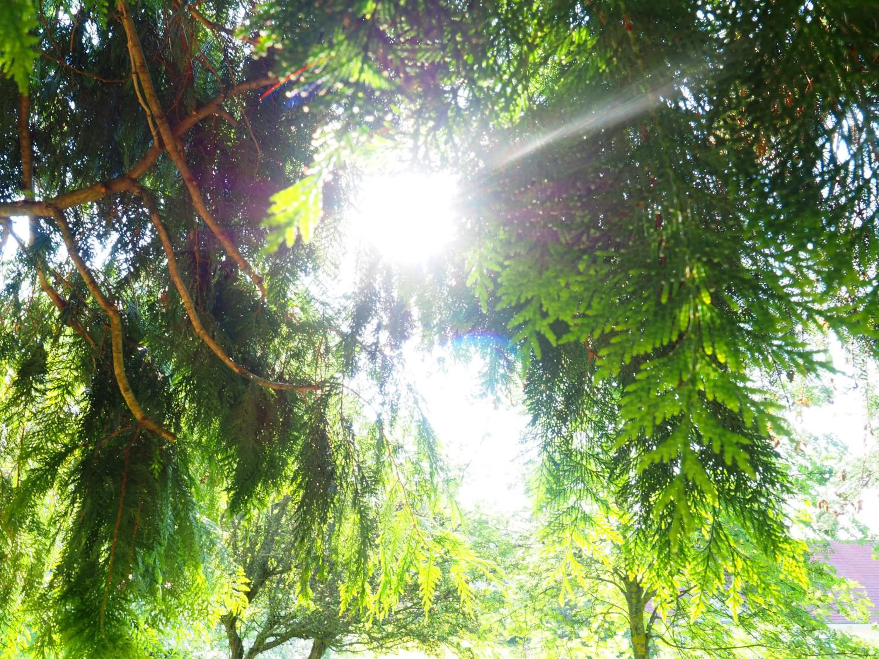 Schlosshotel Rosenau Superior