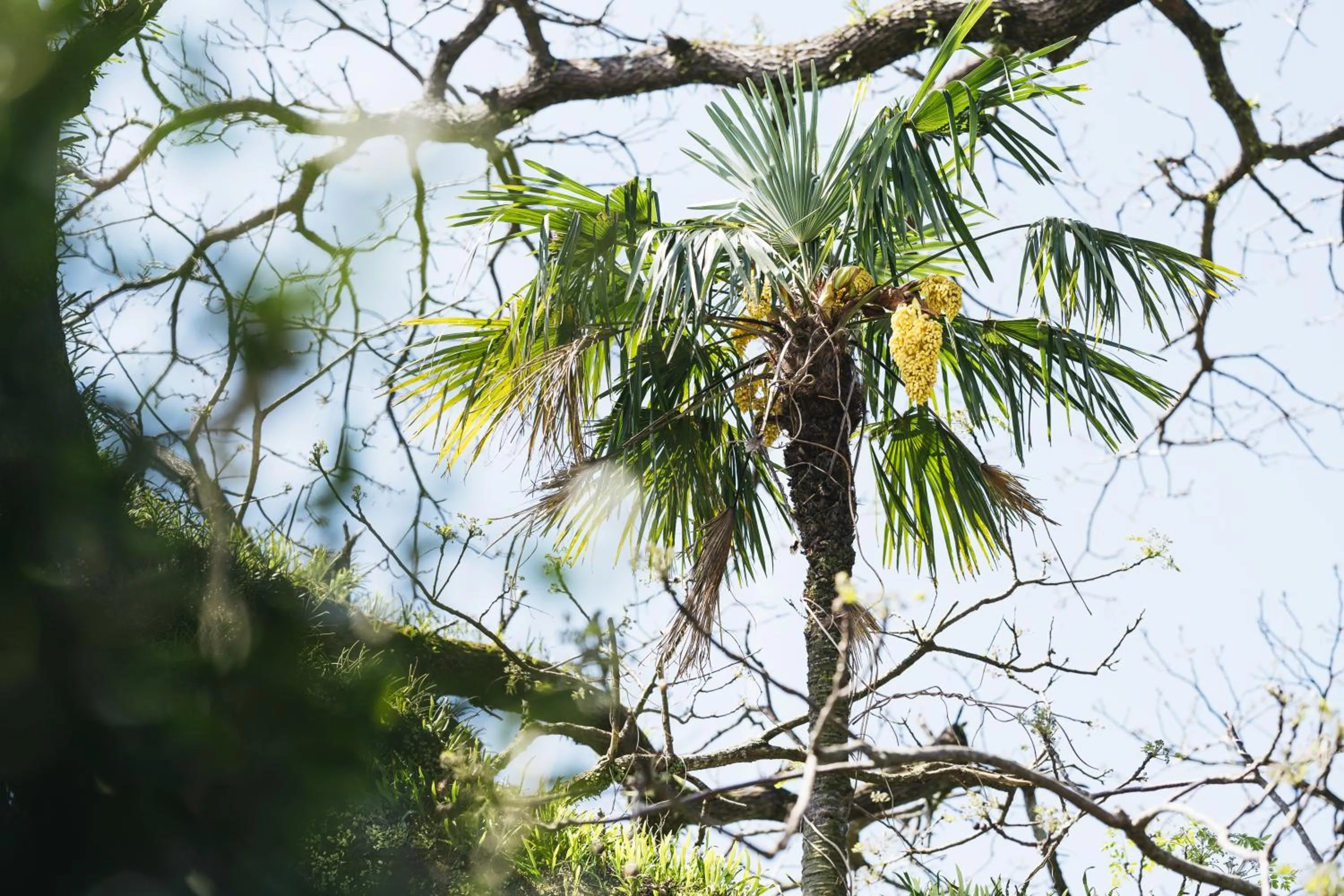 Decorative detail in PAAK Hotel