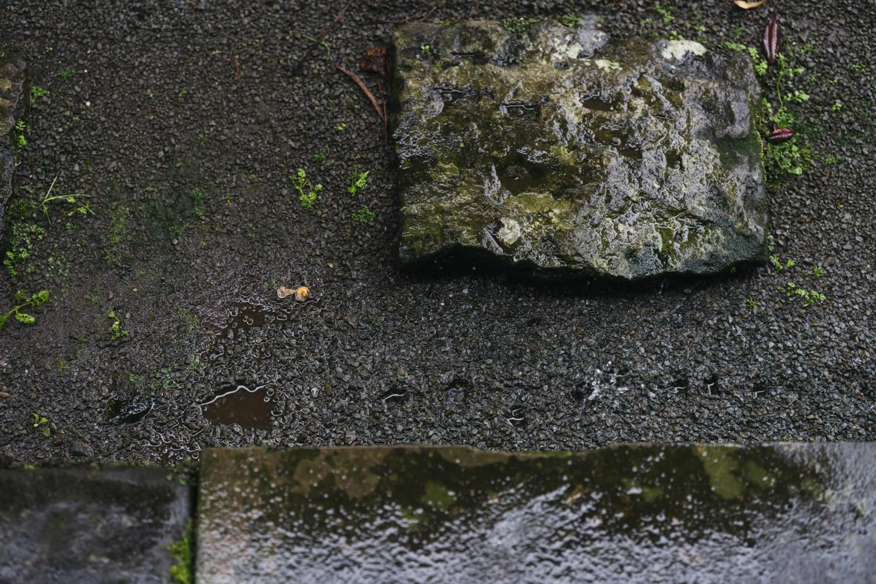 Decorative detail in PAAK Hotel