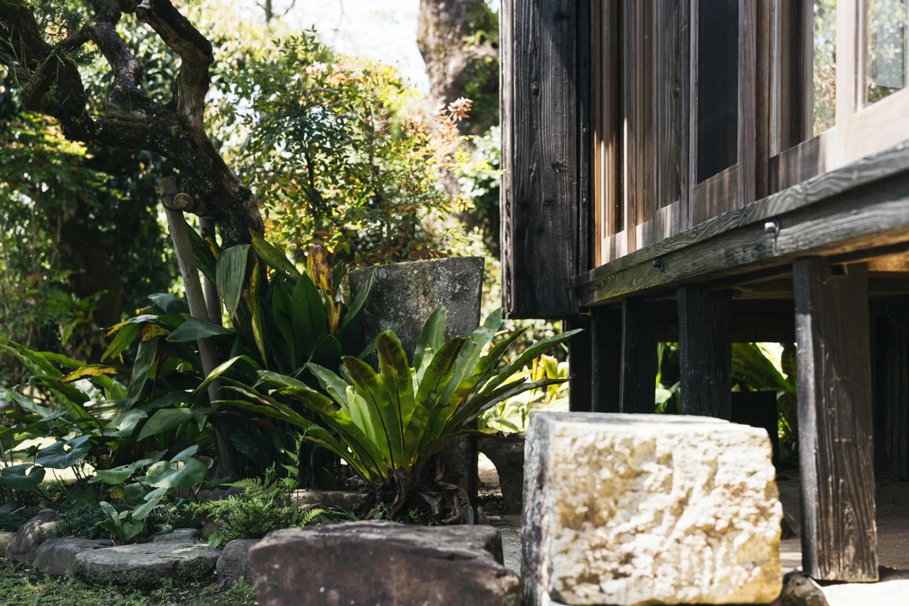 Decorative detail in PAAK Hotel