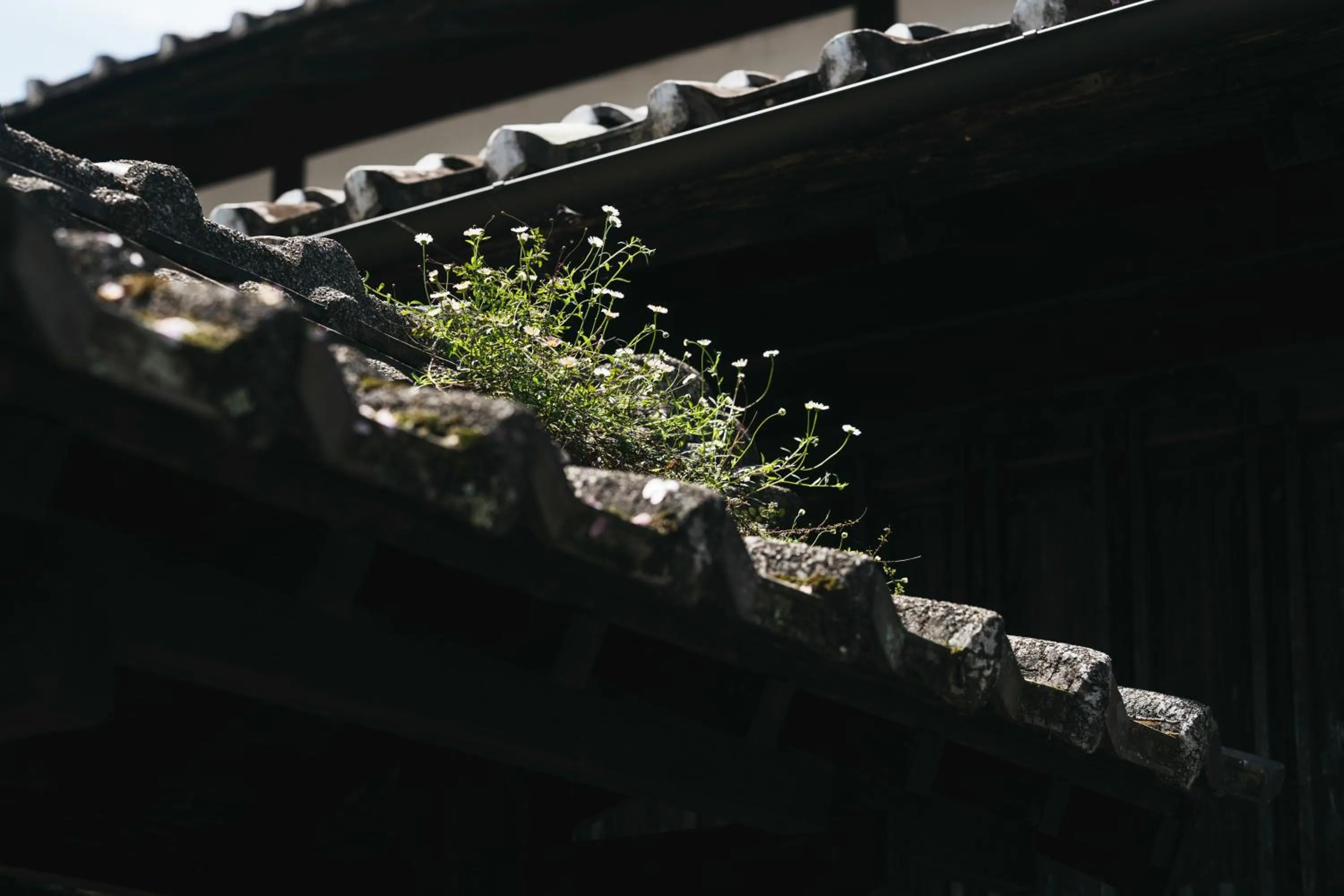 Decorative detail in PAAK Hotel