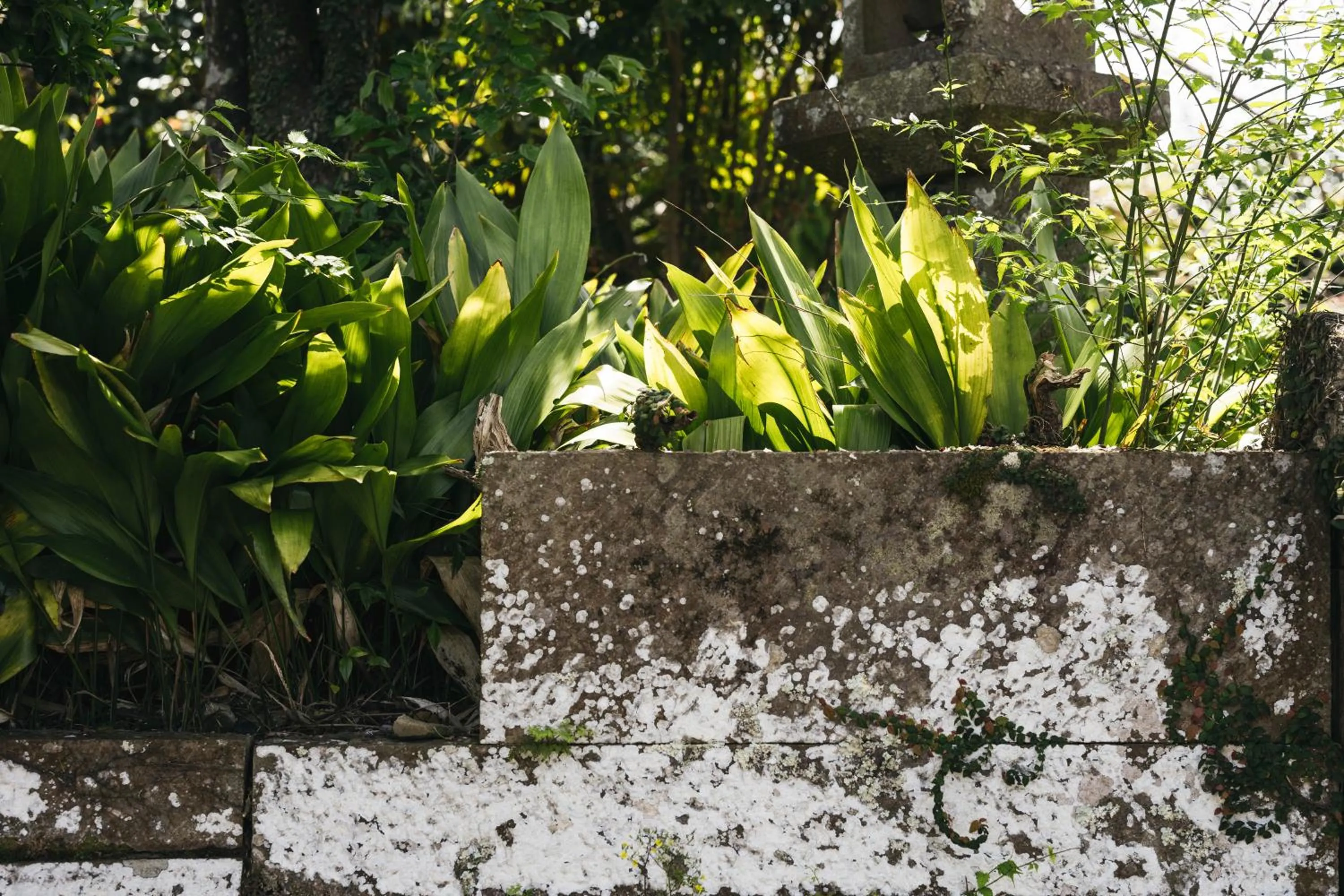 Decorative detail in PAAK Hotel