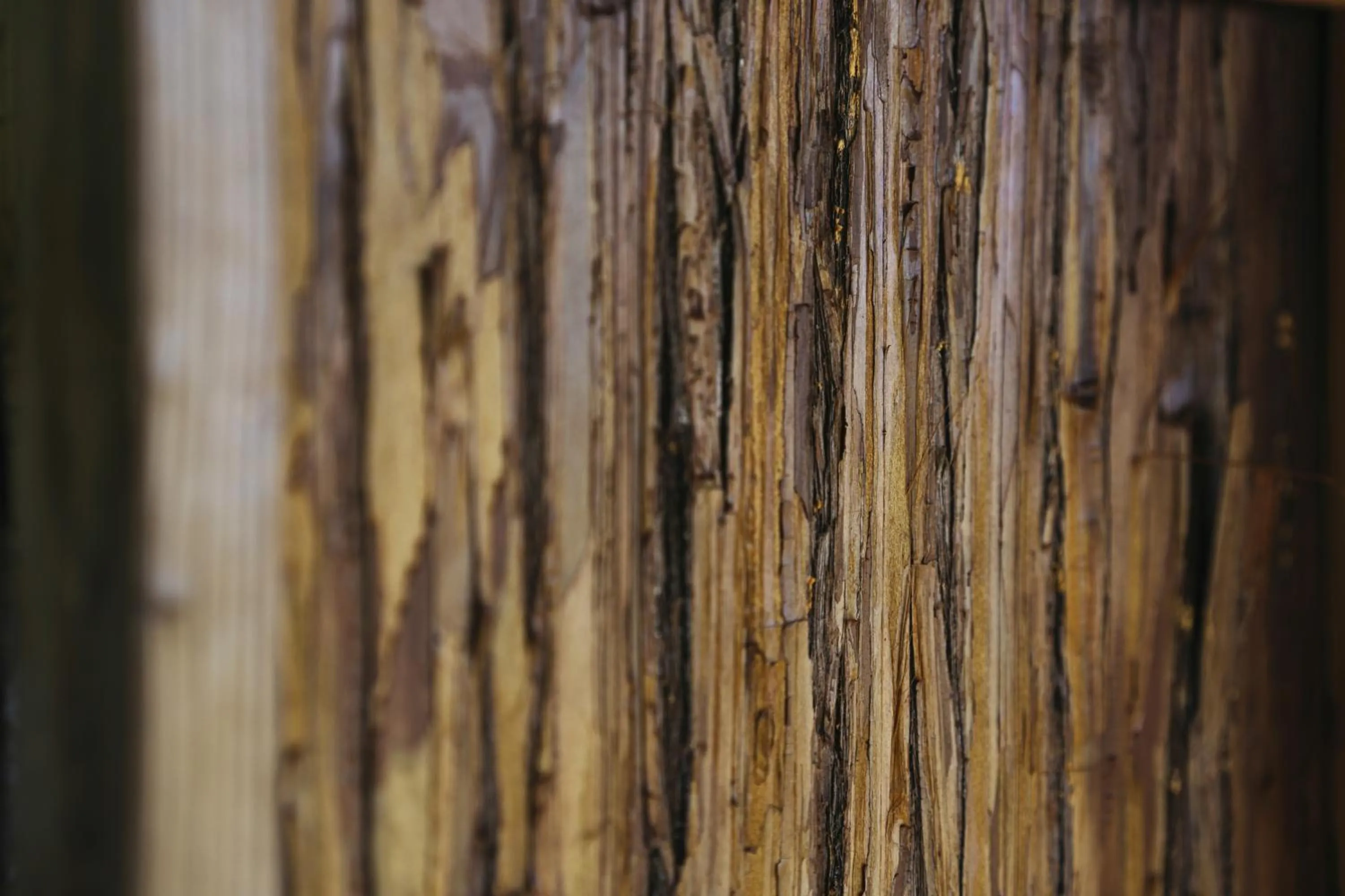 Bathroom in PAAK Hotel