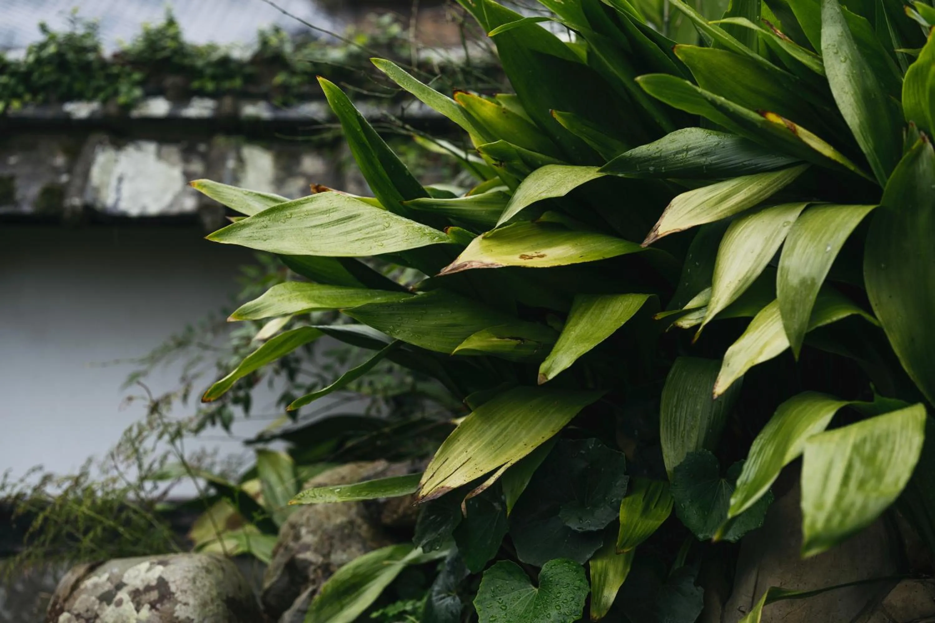 Decorative detail in PAAK Hotel