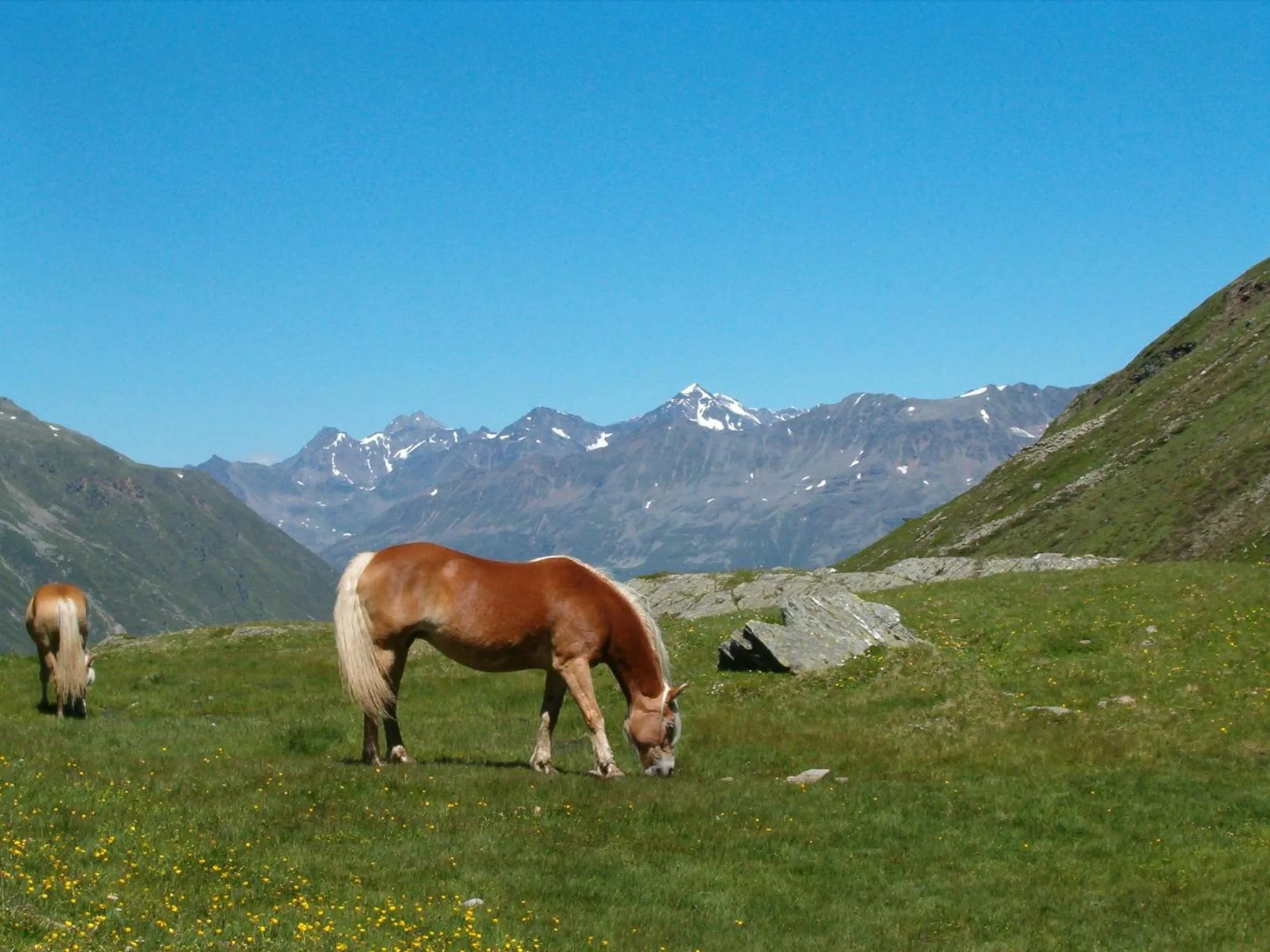 Area and facilities in Hotel Neue Post