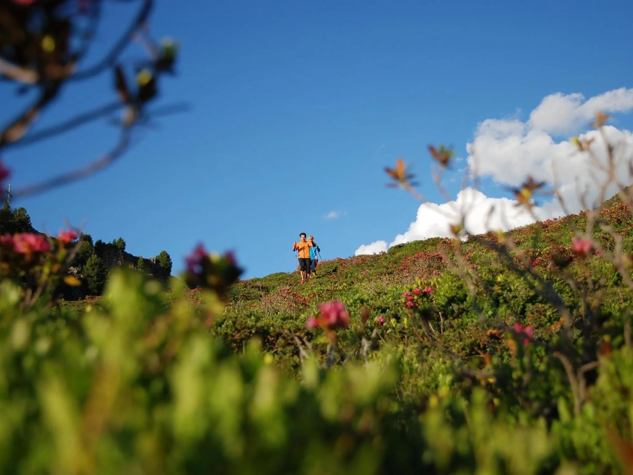 Day in Hotel Neue Post