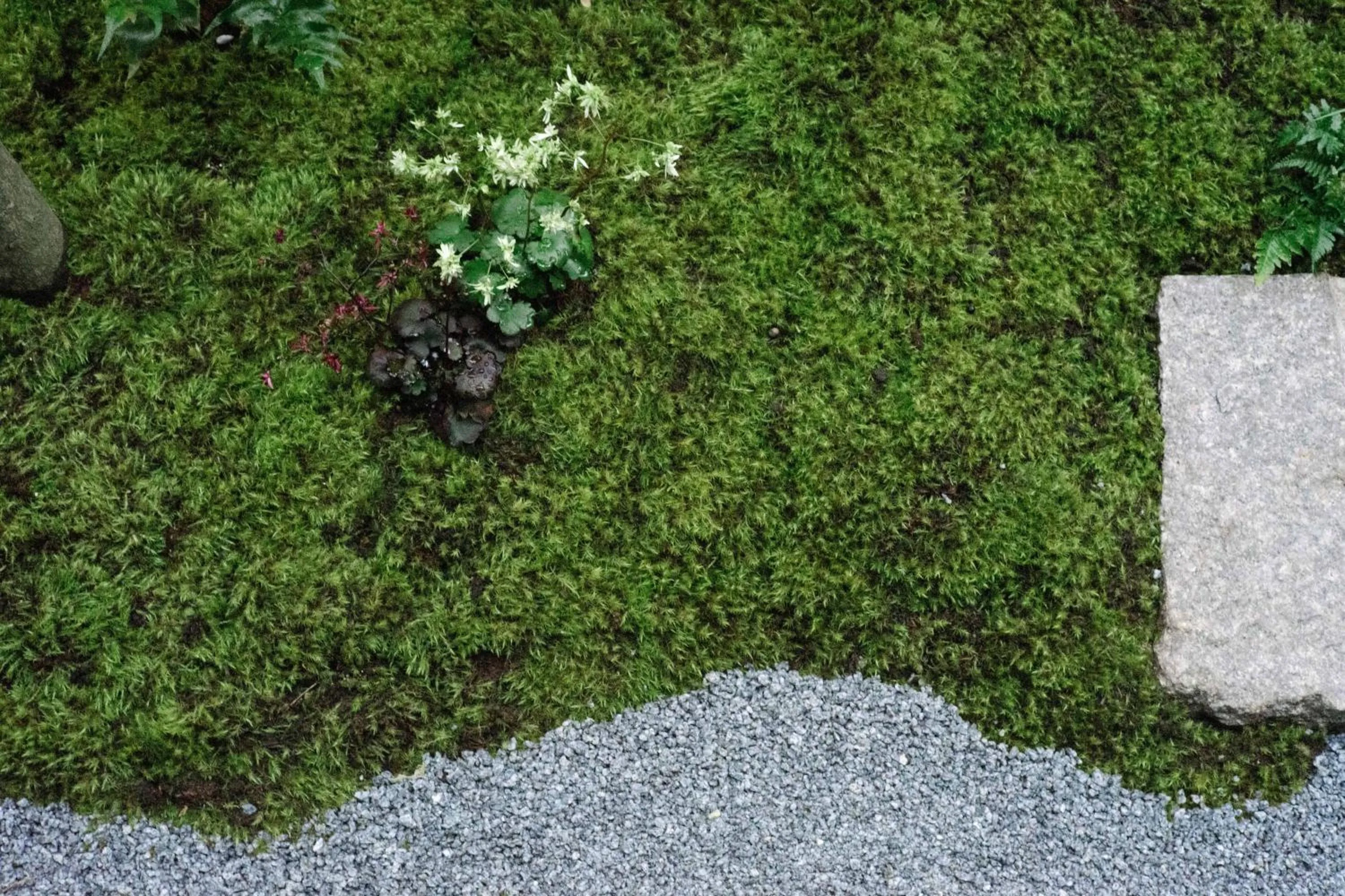 Garden in Azumi Setoda