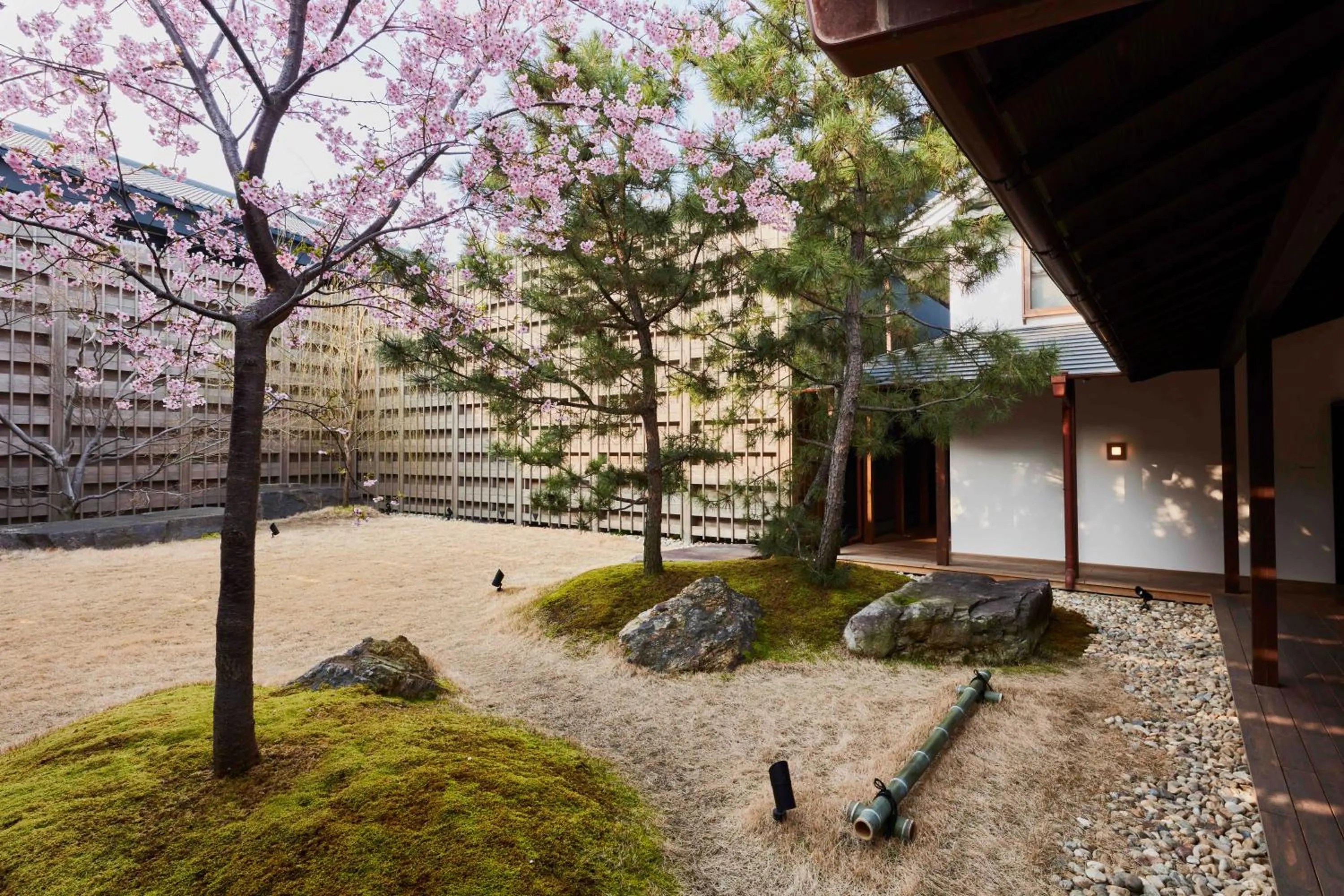 Spring in Azumi Setoda