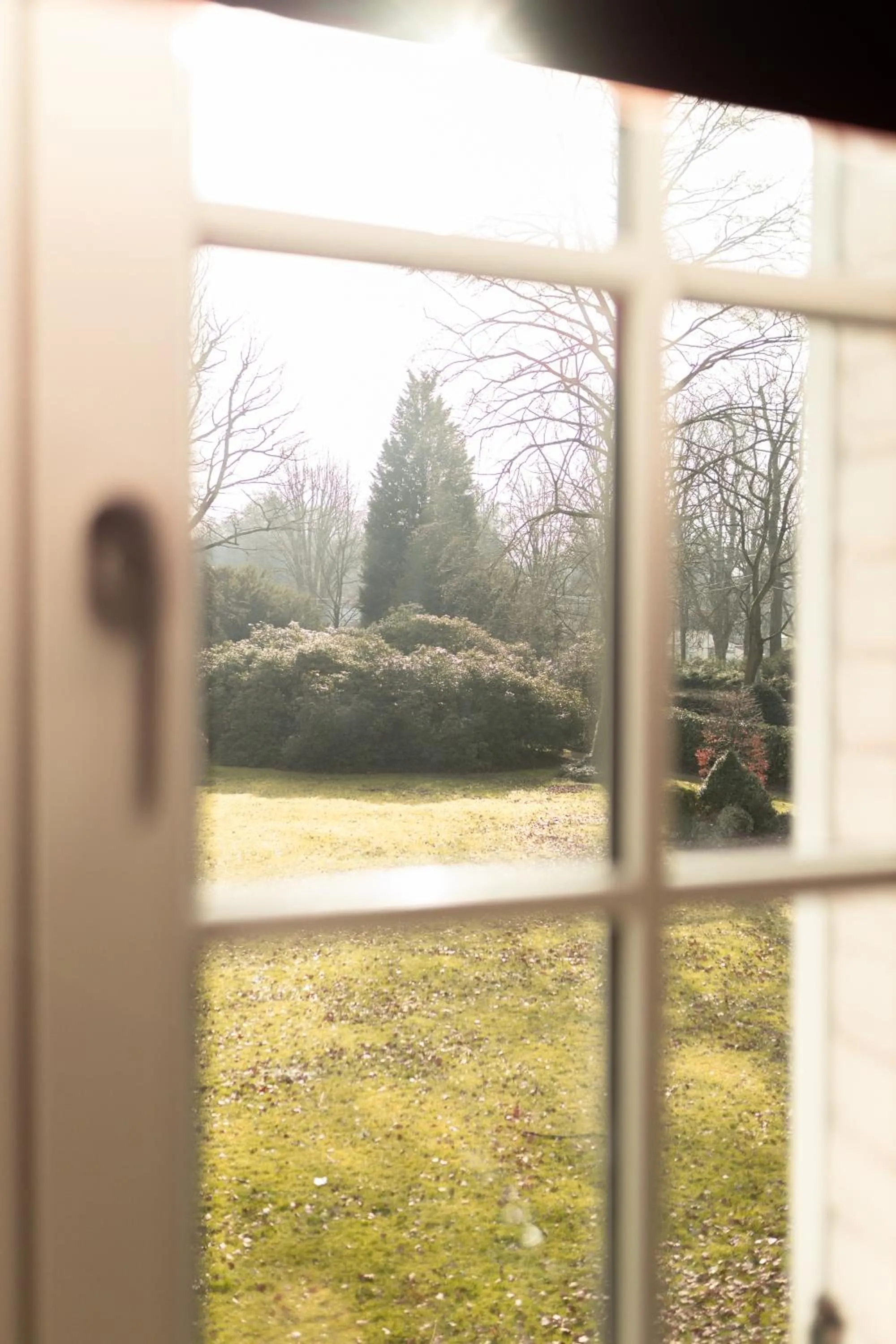 Garden view in Villa Monceau Louvain la neuve