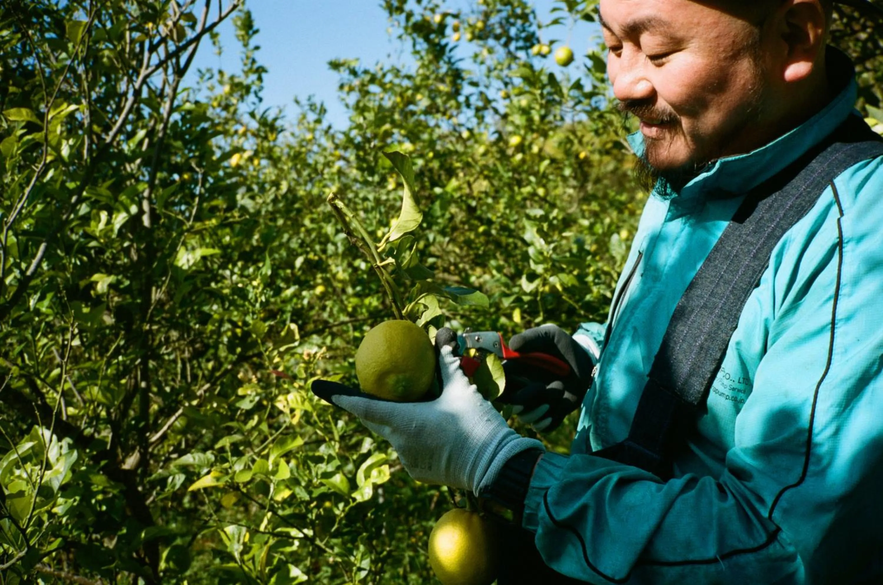 Activities in SOIL Setoda