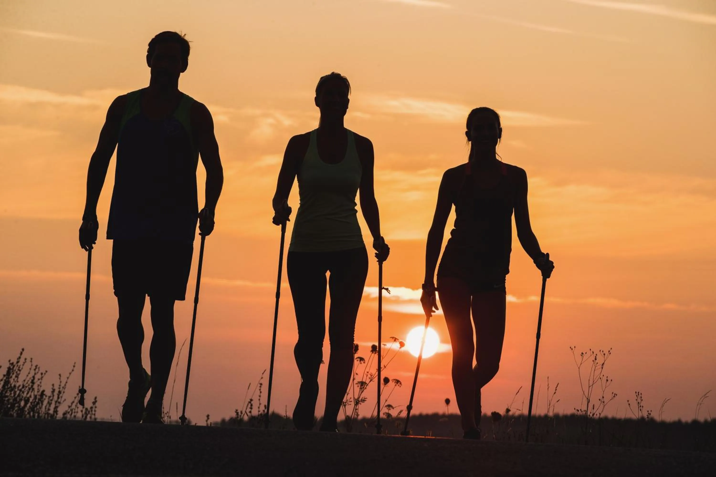 Hiking in Thermenhotel PuchasPLUS Stegersbach