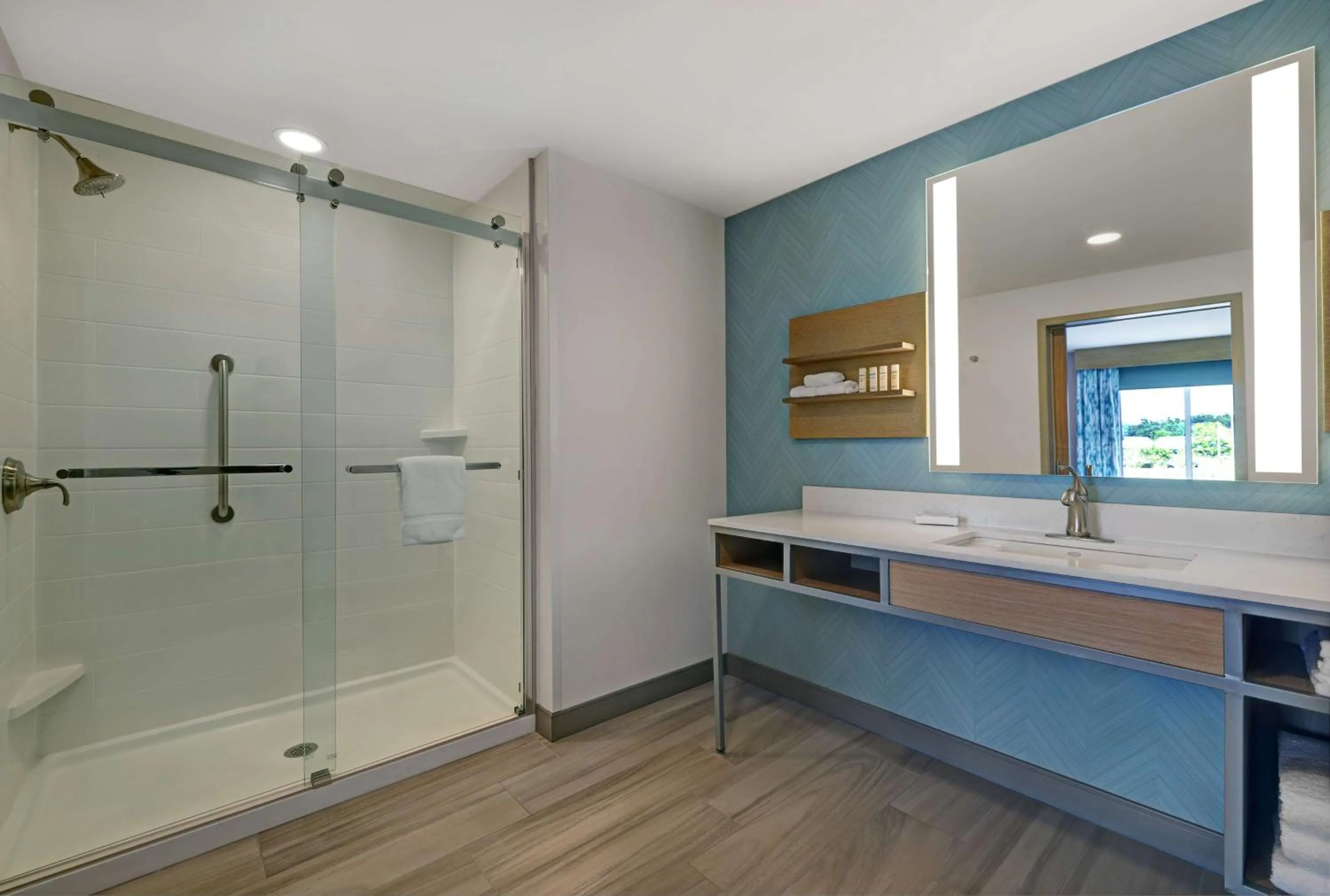 Bathroom in Hilton Garden Inn Manassas