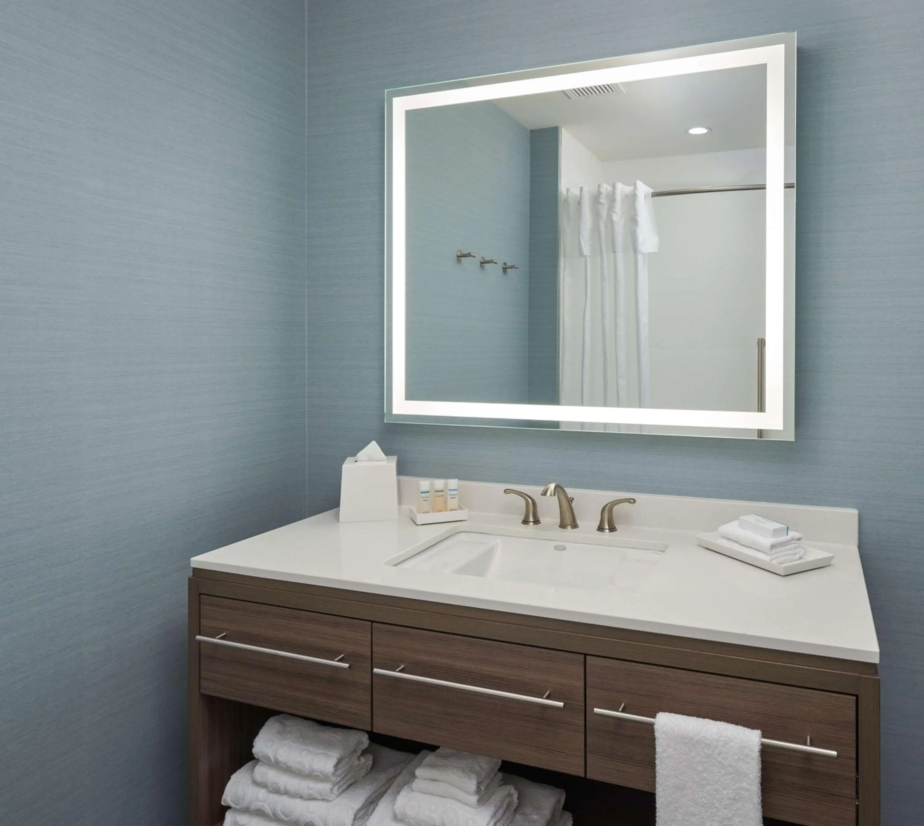 Bathroom in Home2 Suites By Hilton Pompano Beach Pier, Fl