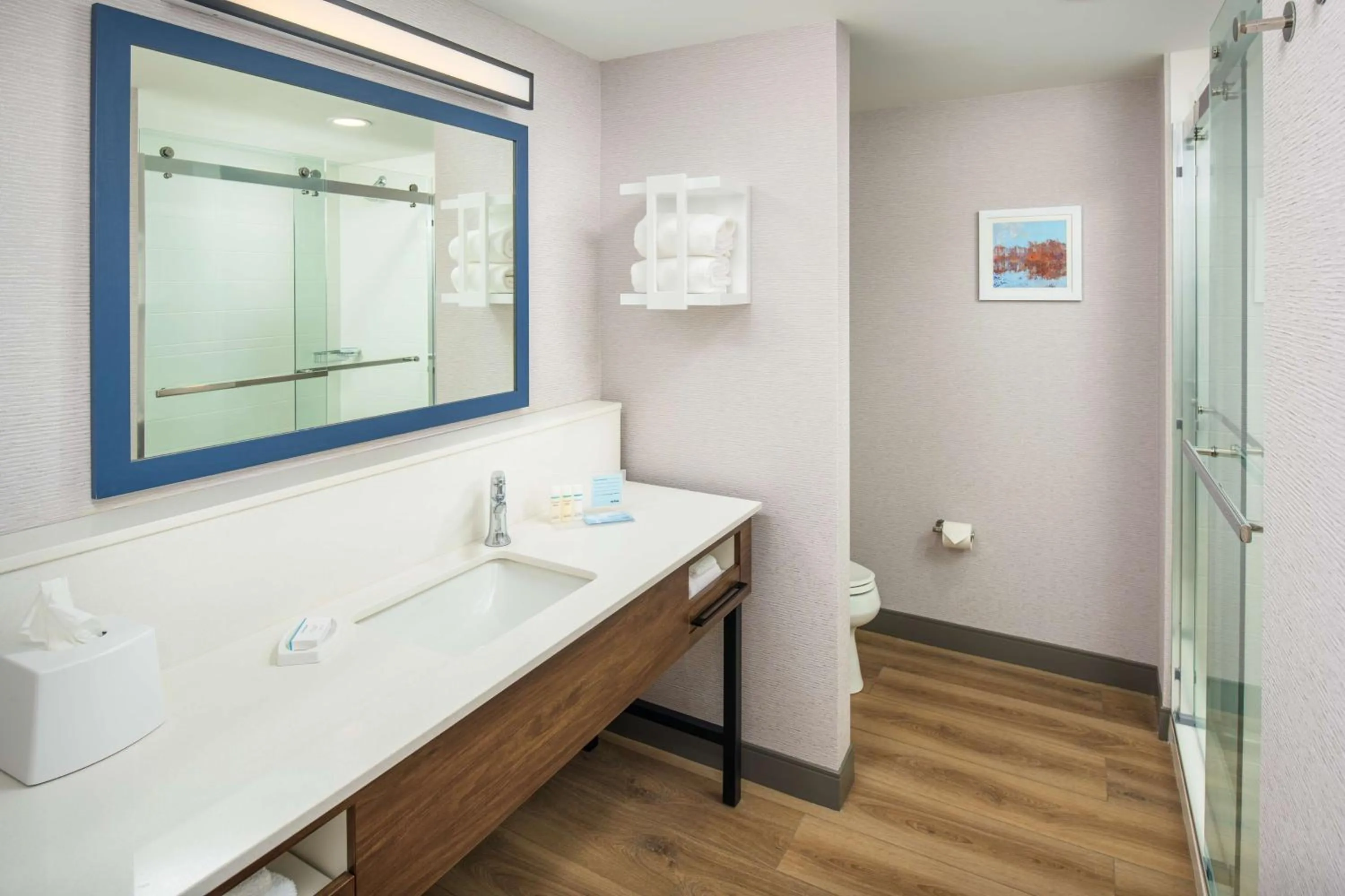 Bathroom in Hampton Inn Blue Ridge, GA