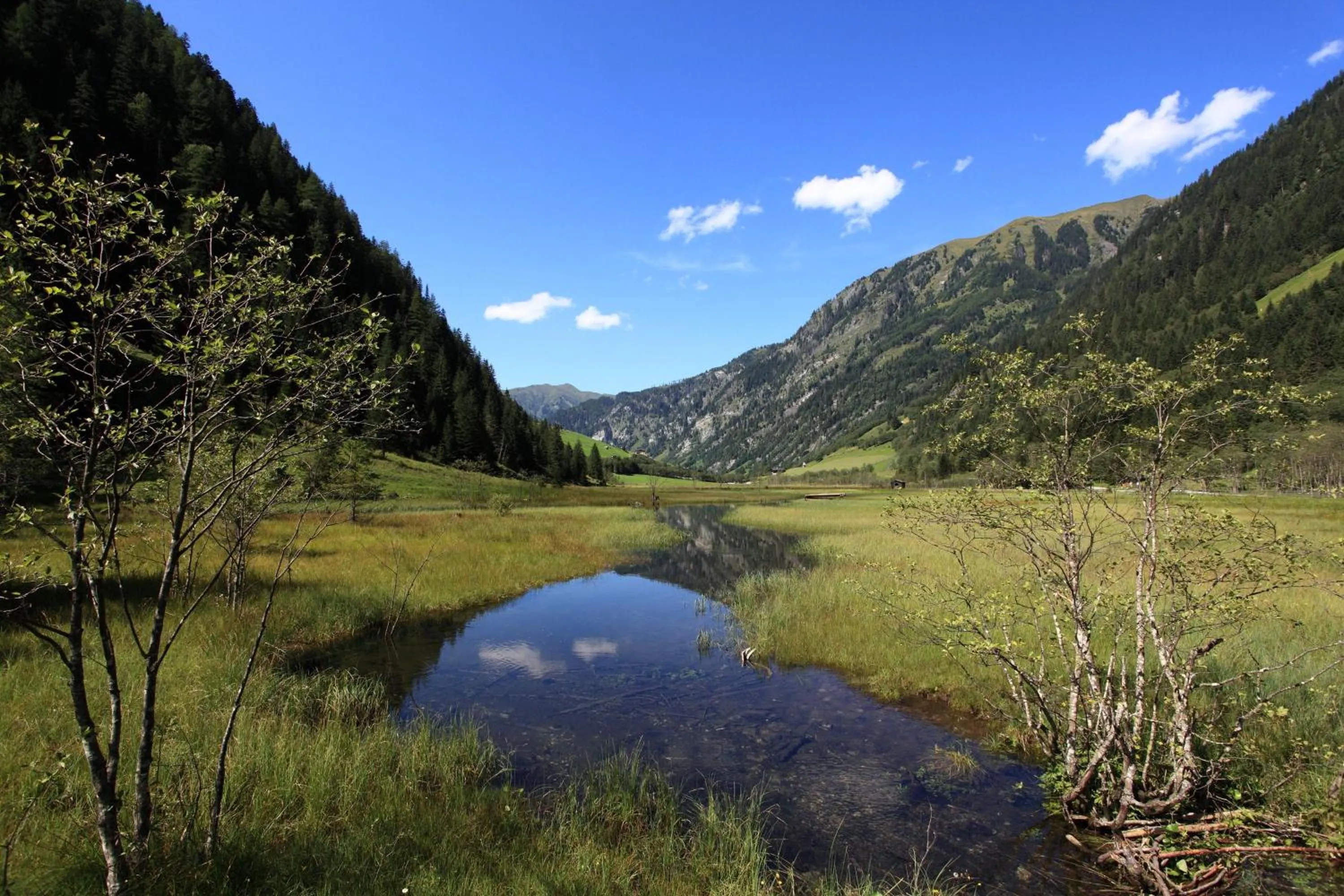 Natural landscape in Hotel Kristall