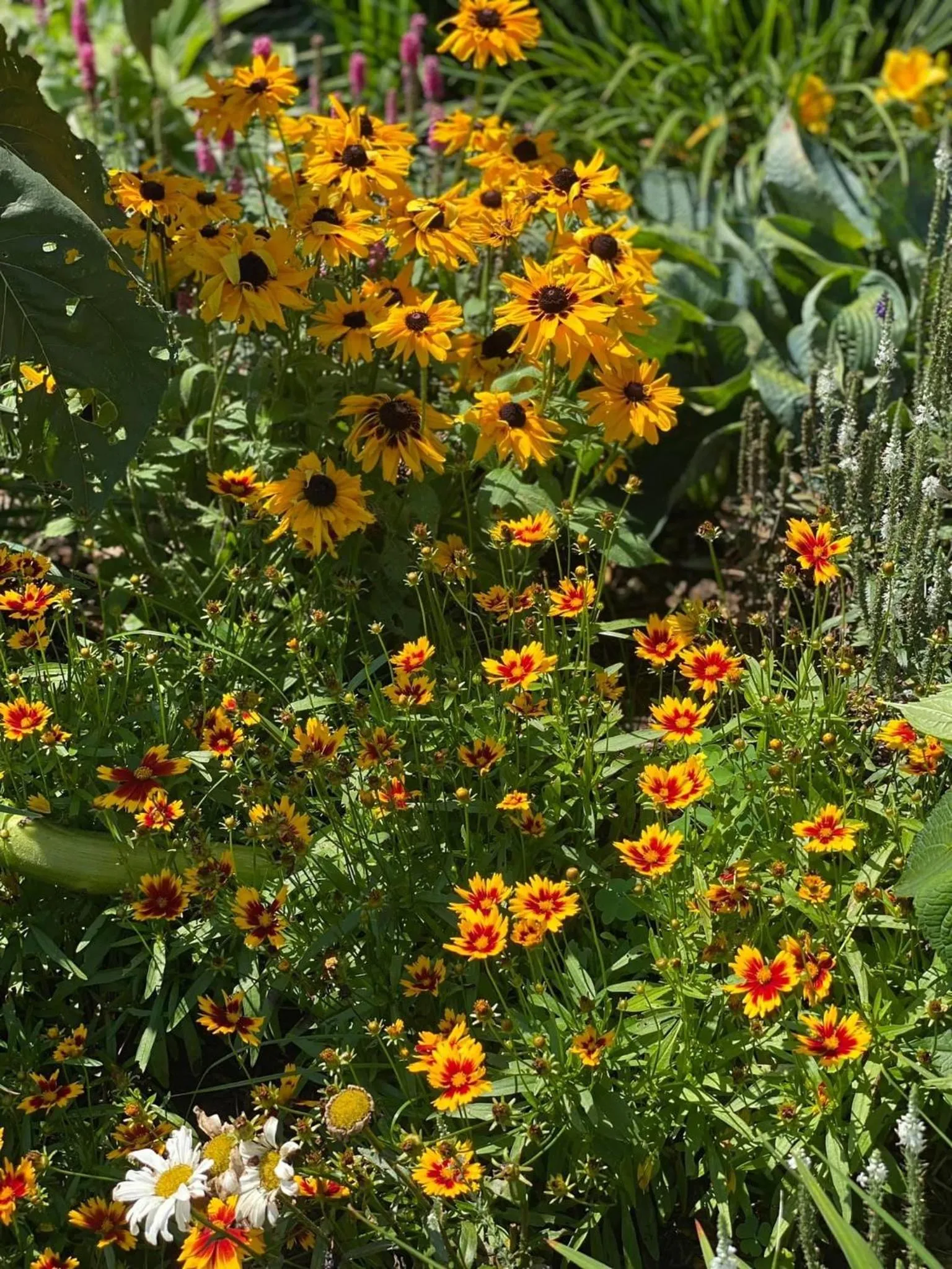 Homestead Inn - Blowing Rock