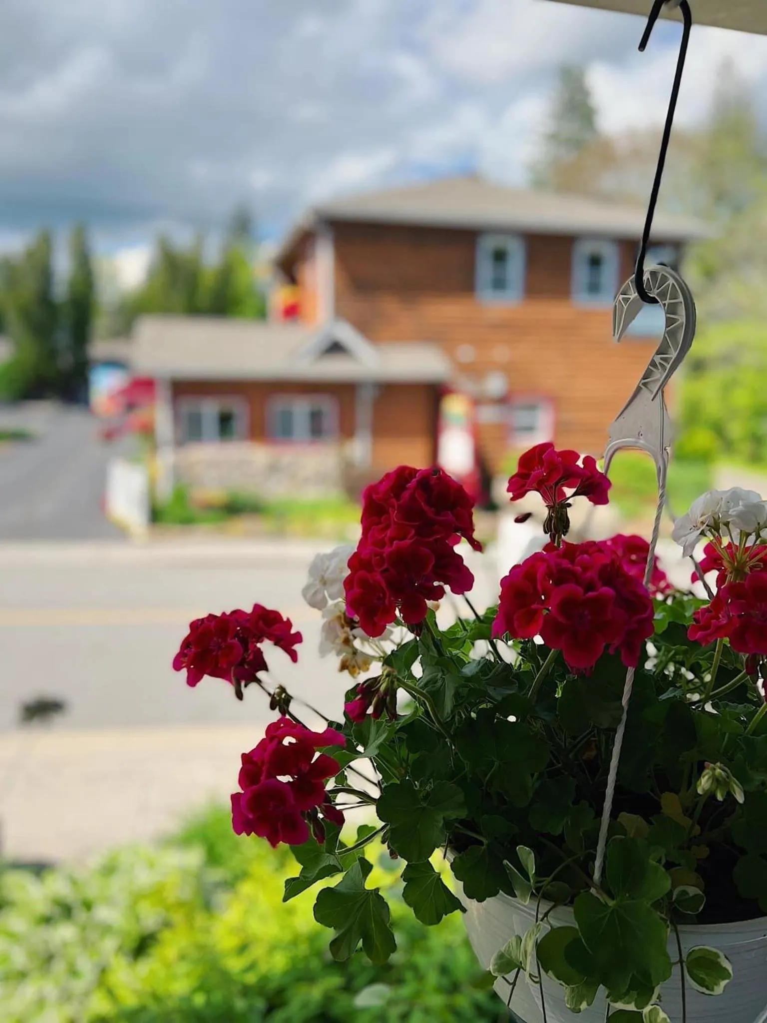 Homestead Inn - Blowing Rock