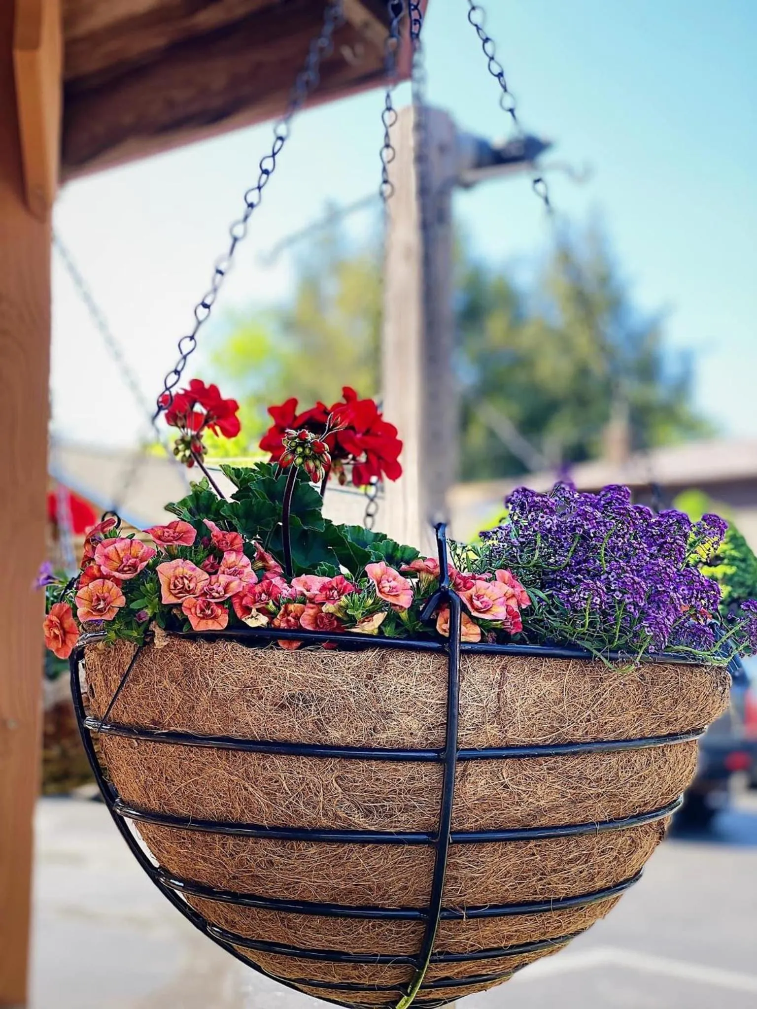 Homestead Inn - Blowing Rock