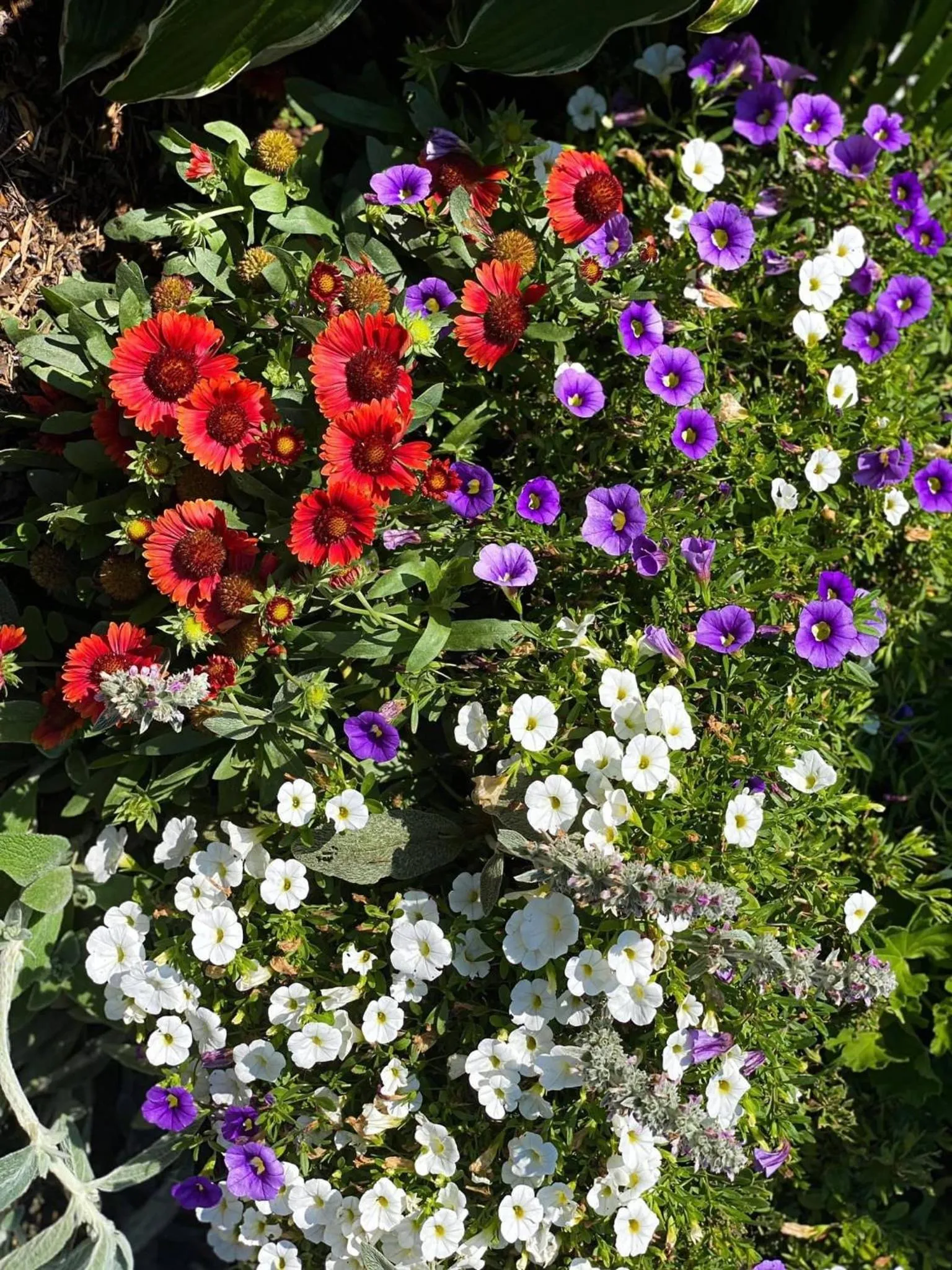 Homestead Inn - Blowing Rock