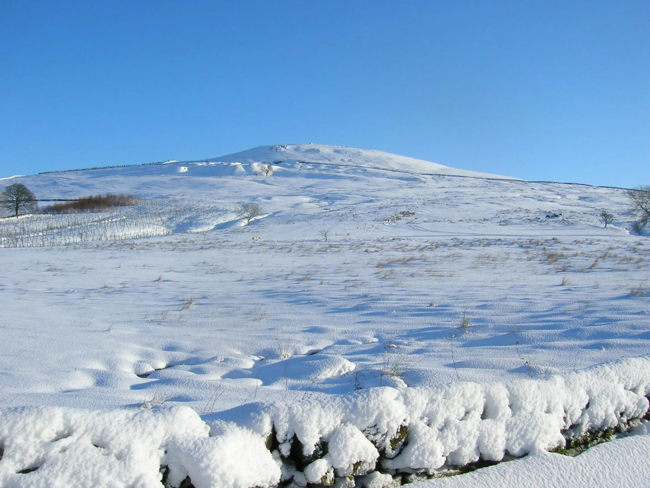 Winter in Sorbietrees B&B