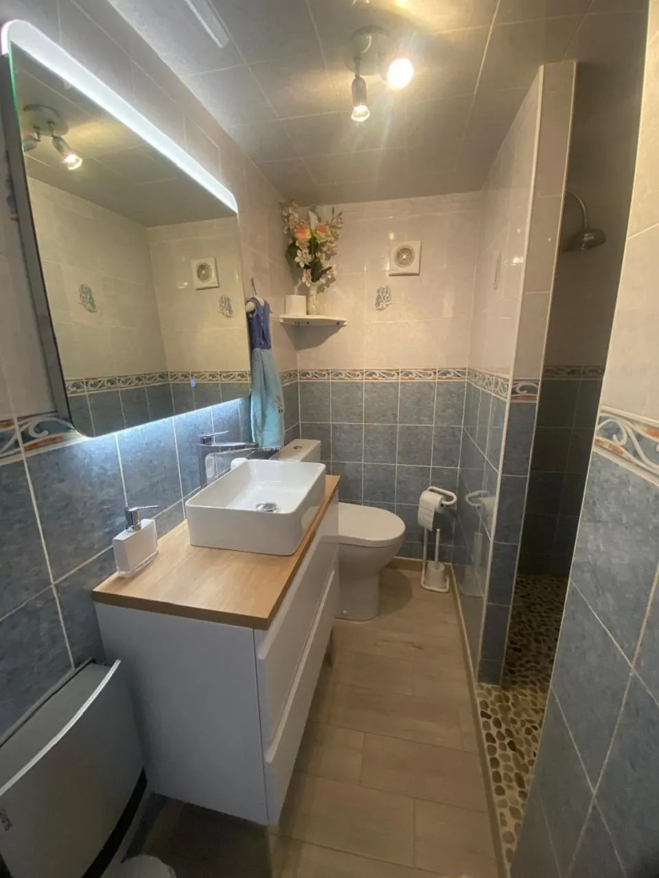 Toilet in Chambres et table d'hôtes Floromel La Souterraine en rez de chaussee