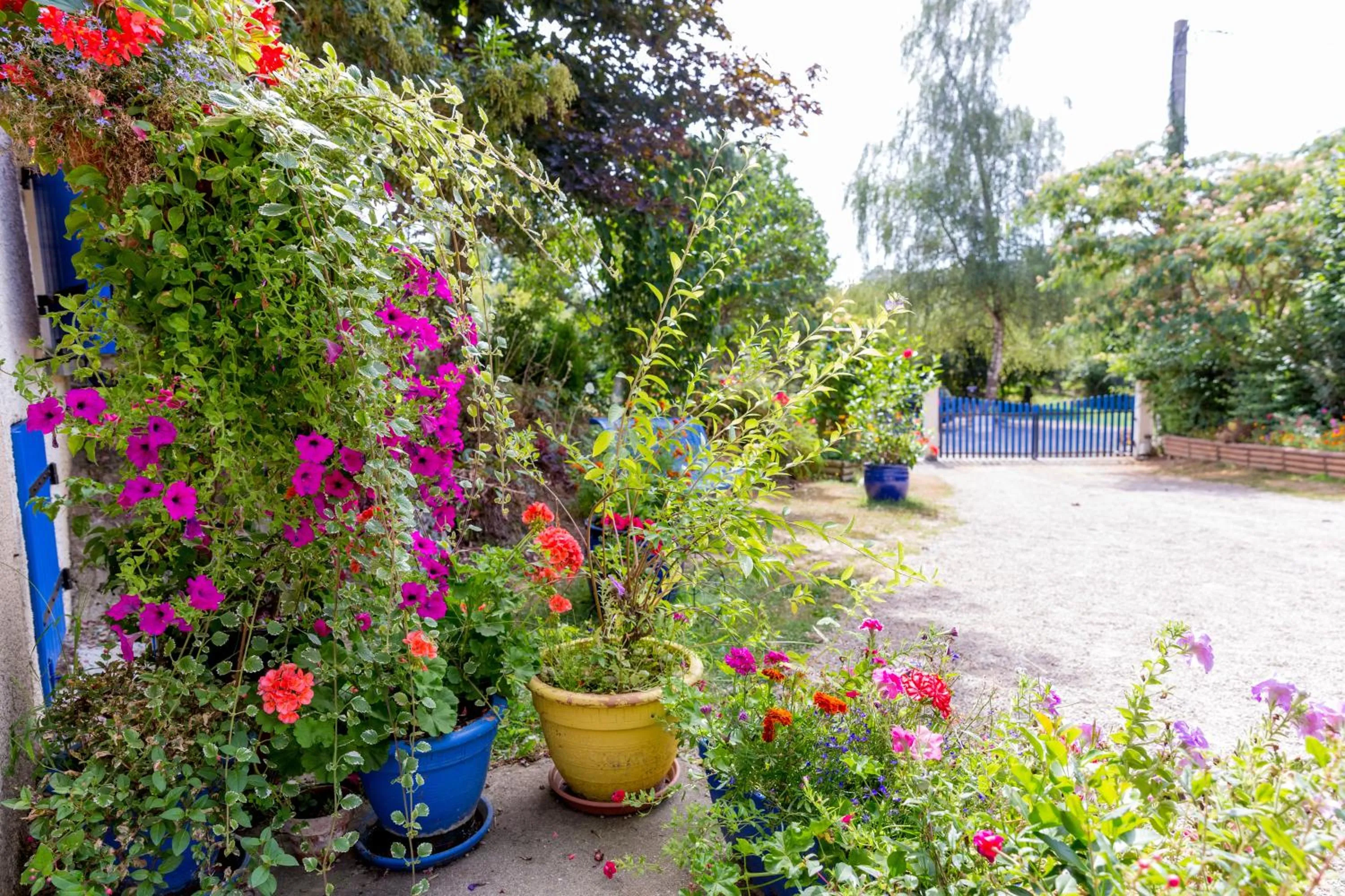 Garden in Chambres et table d'hôtes Floromel La Souterraine en rez de chaussee