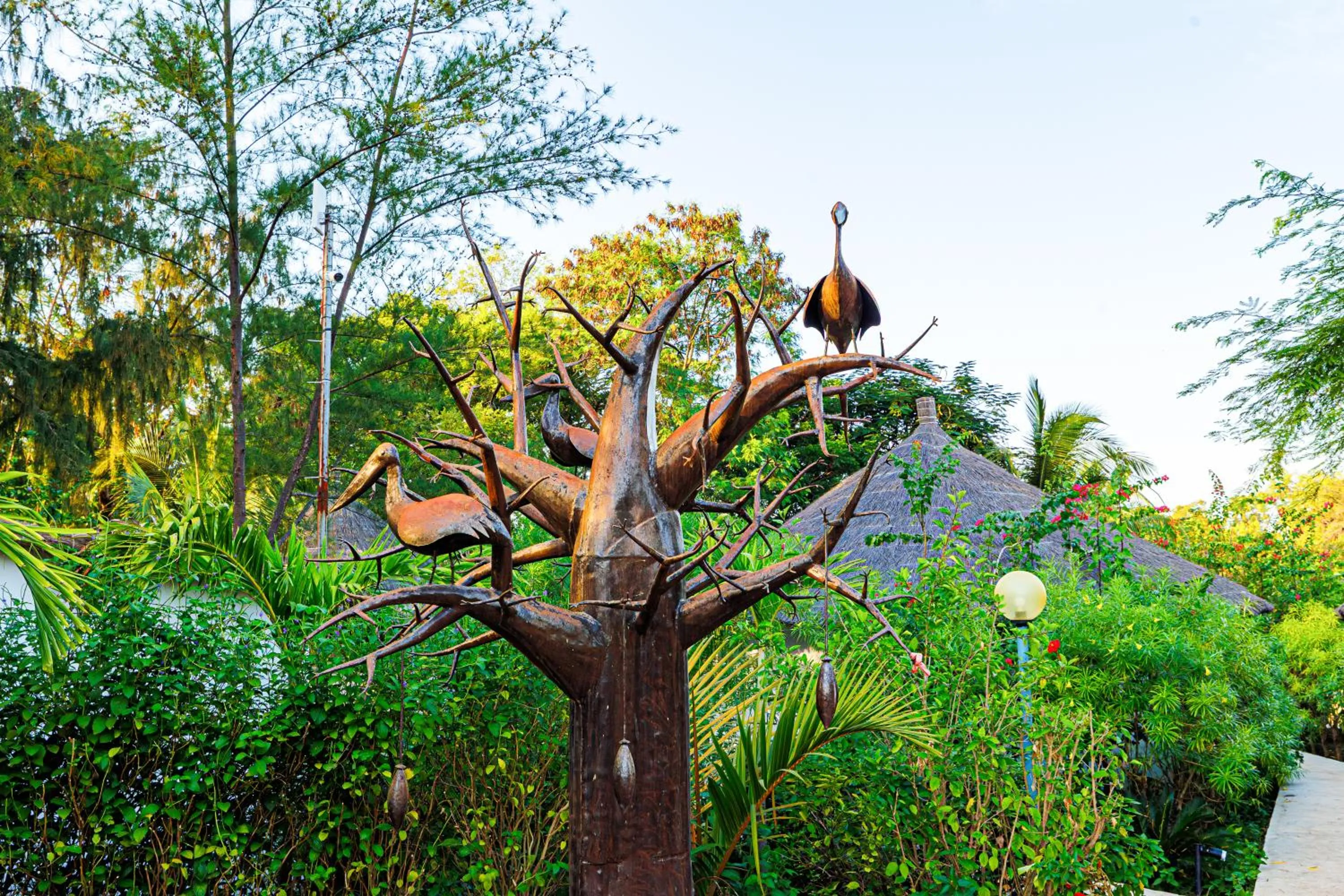 Natural landscape in Keur Saloum Resort