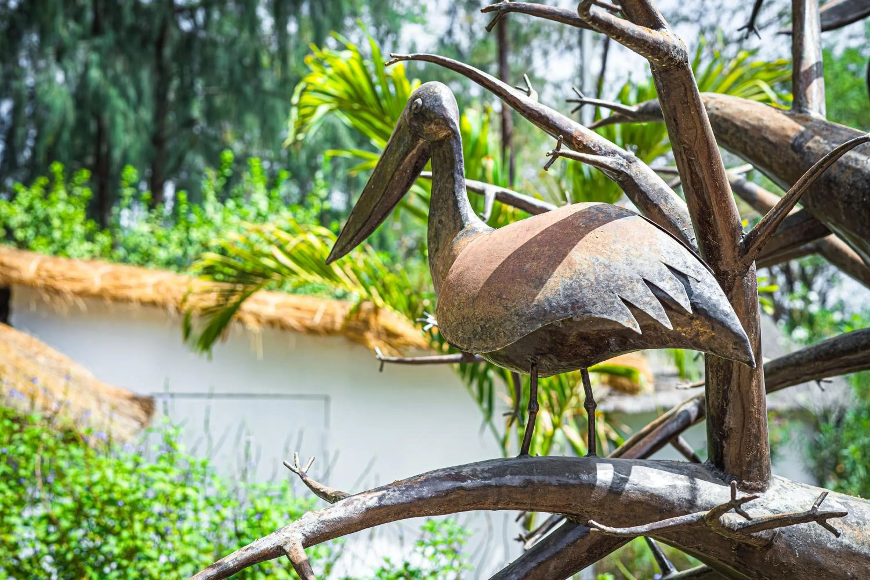 Animals in Keur Saloum Resort