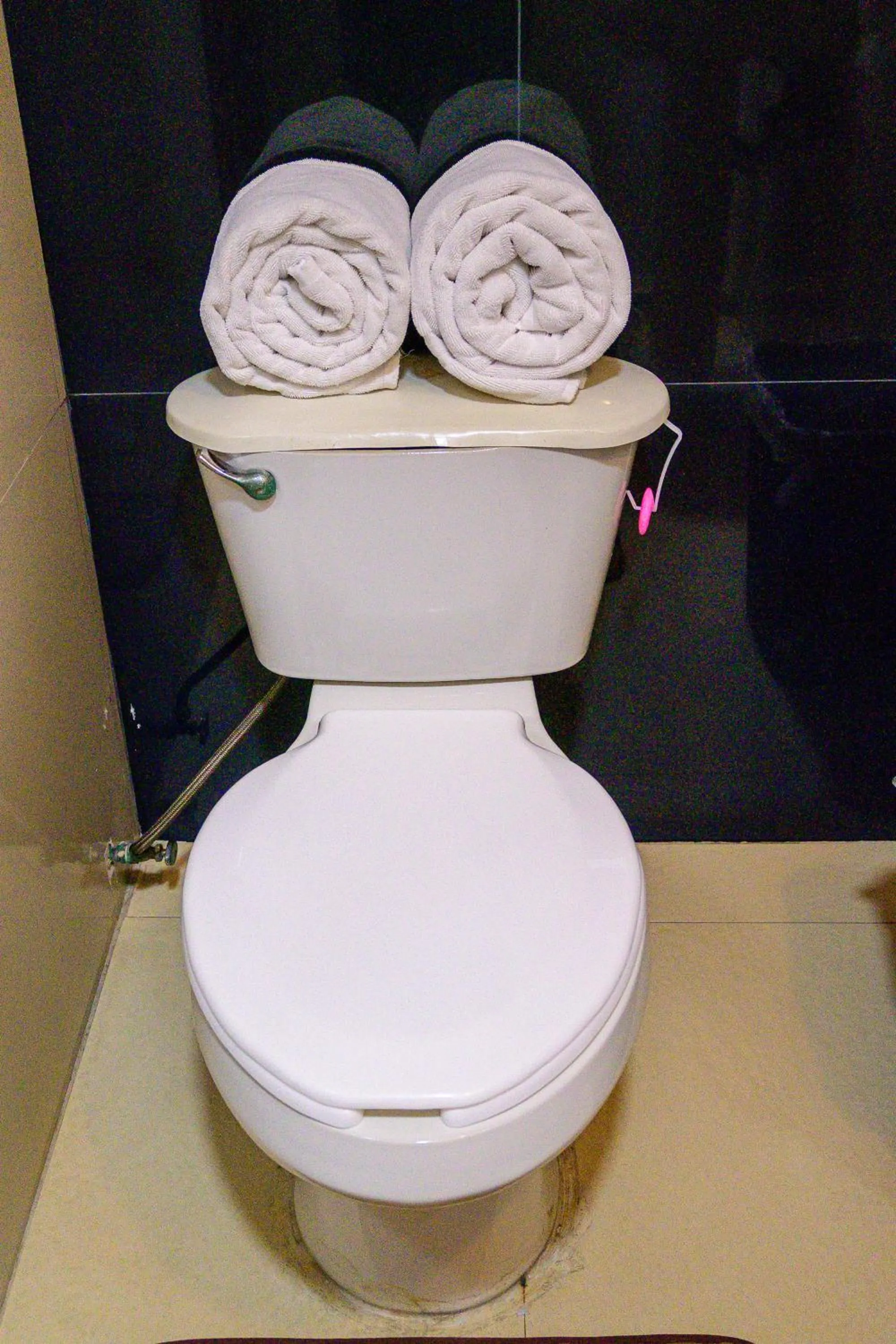 Bathroom in Hotel Acuario En Ocotlán