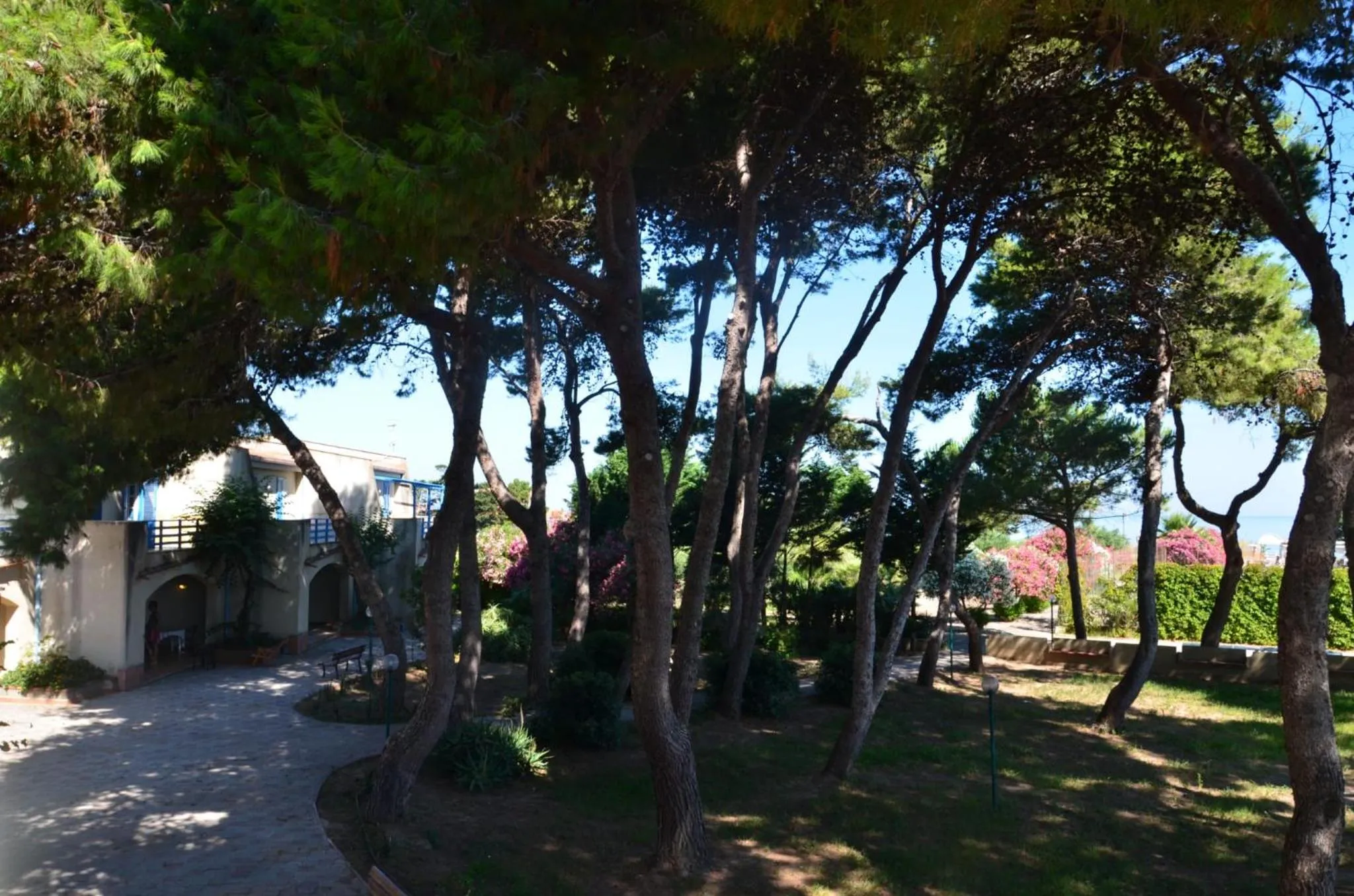 Garden in Villa Teti - Sicilia