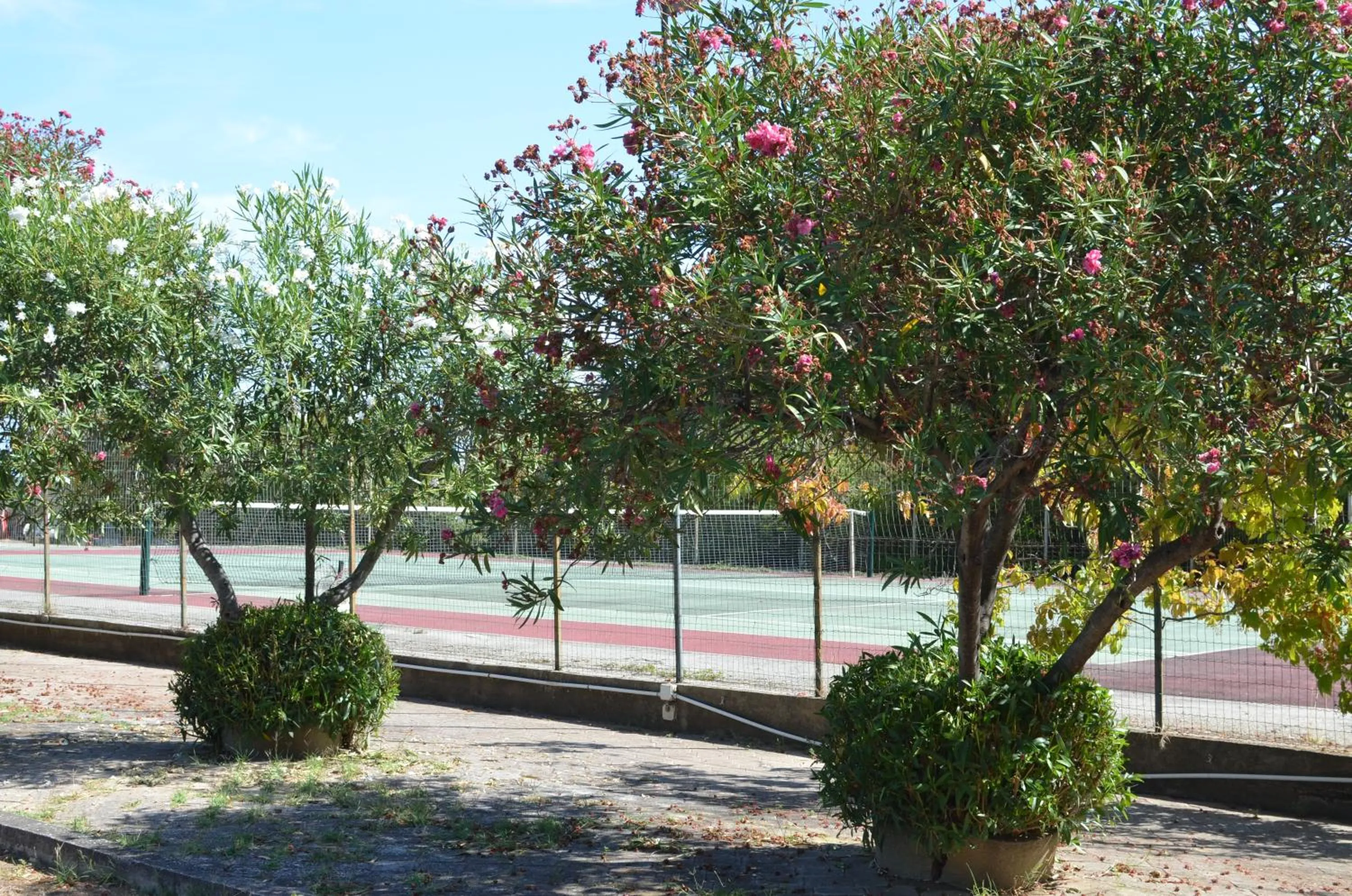 Garden in Villa Teti - Sicilia