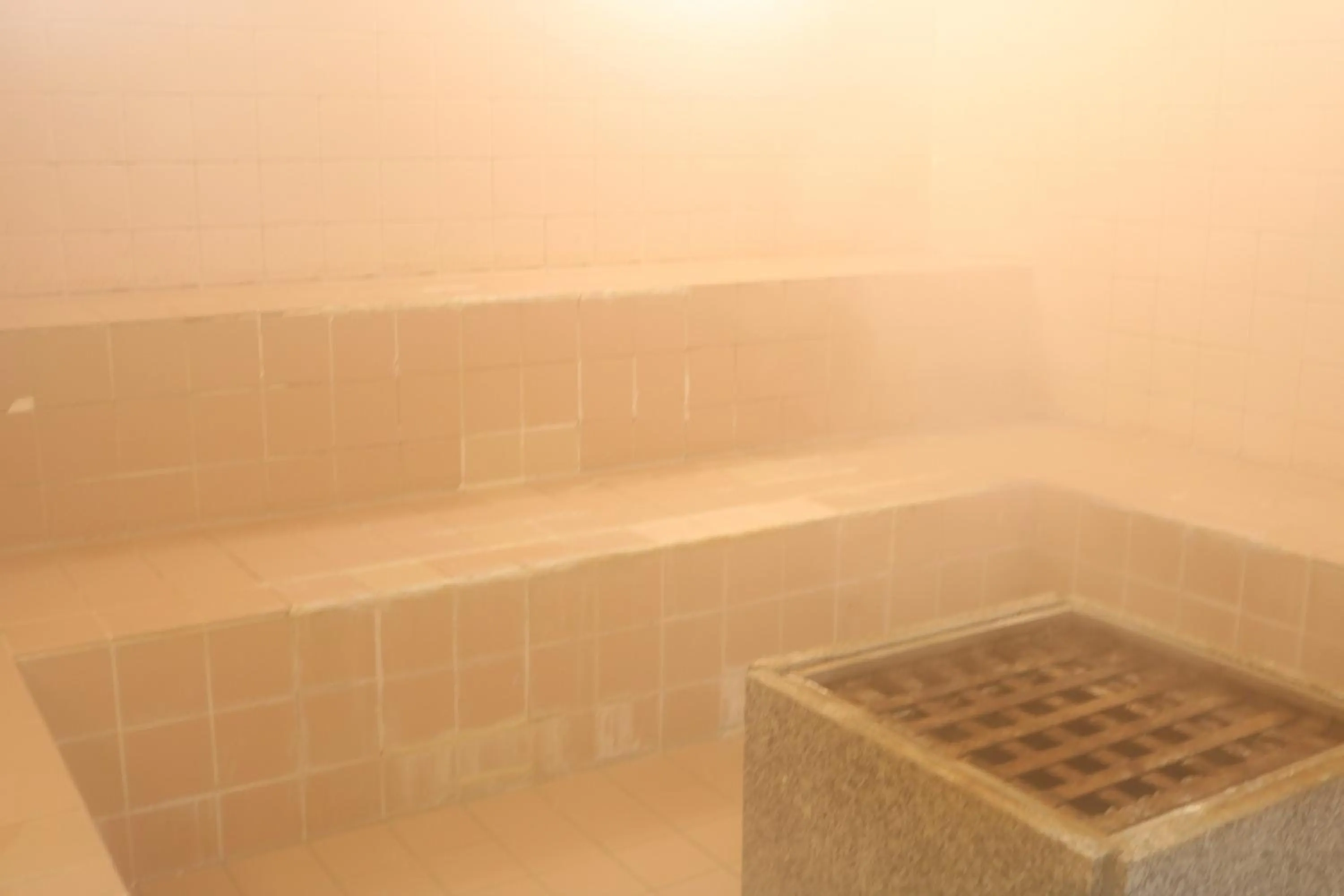 Kusatsu Onsen Hotel Village