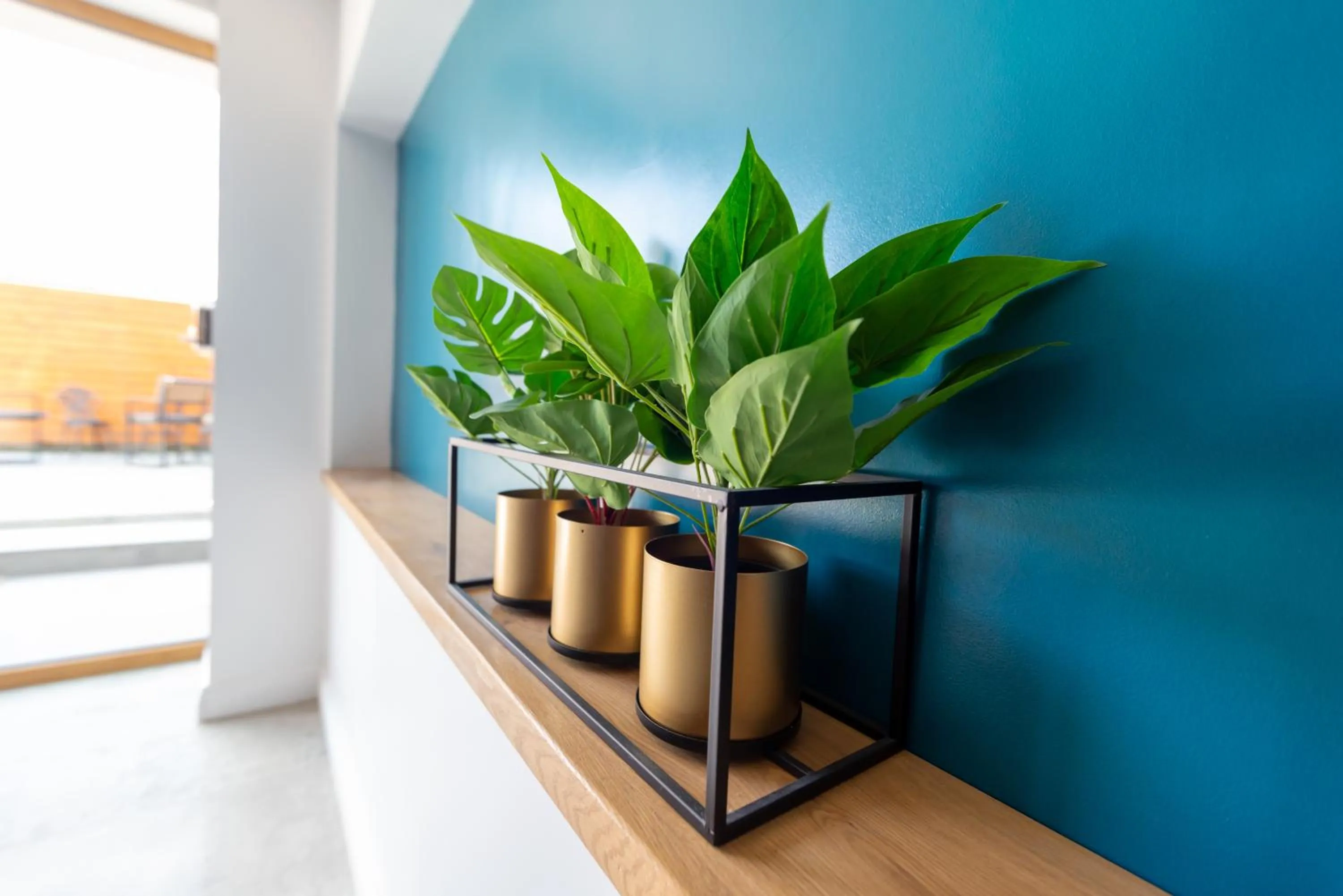 Other in English House