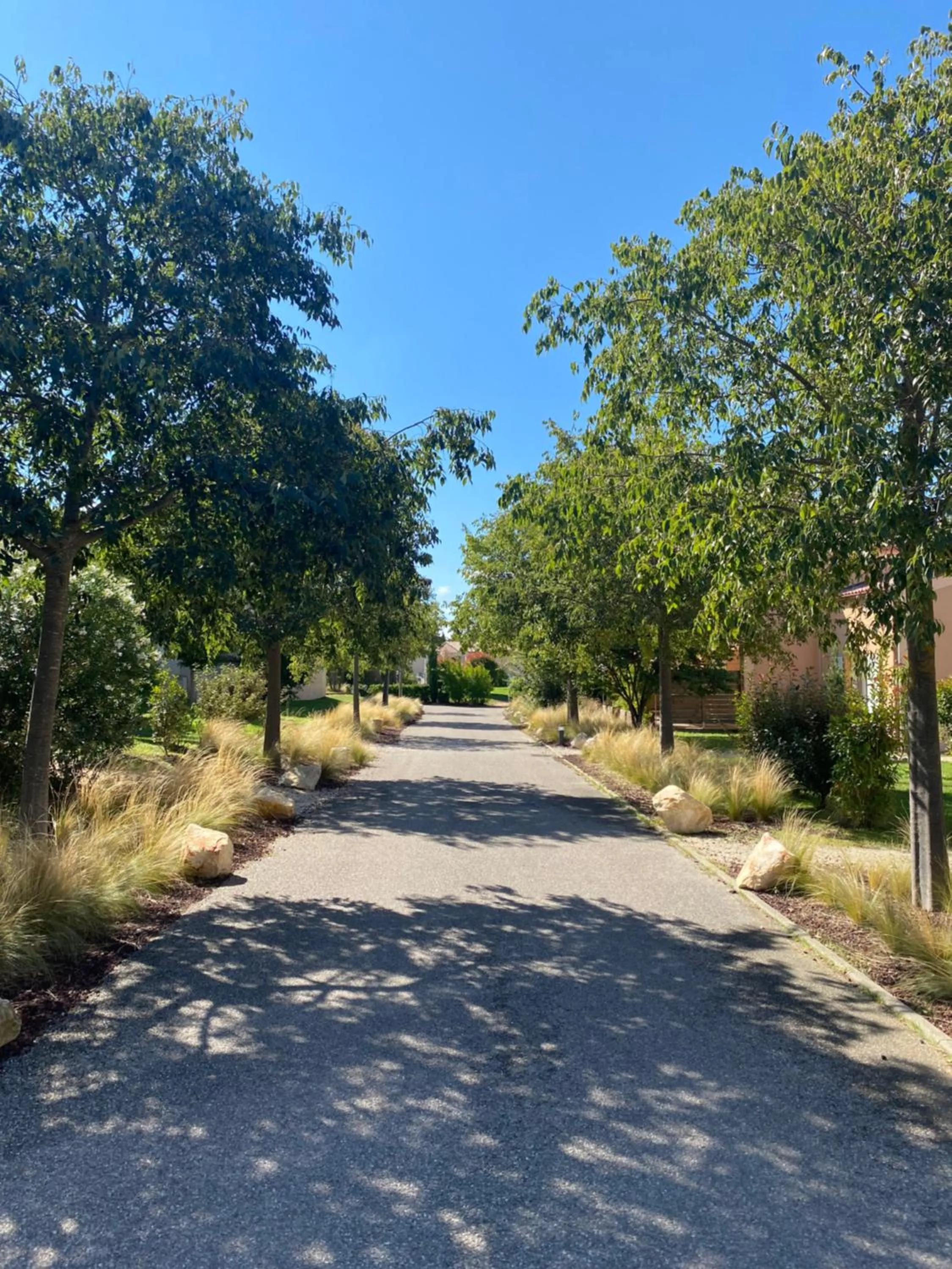 Natural landscape in Les Demeures du Ventoux - Vacanceole