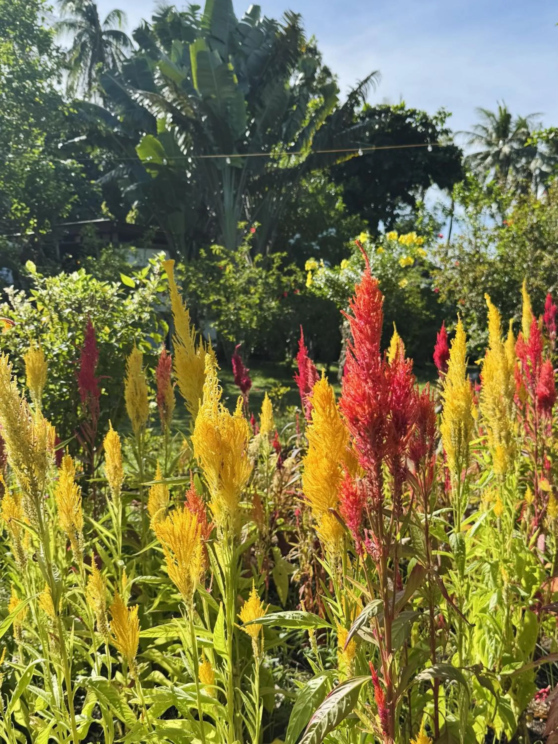 SomeWhere Else Boutique Resort