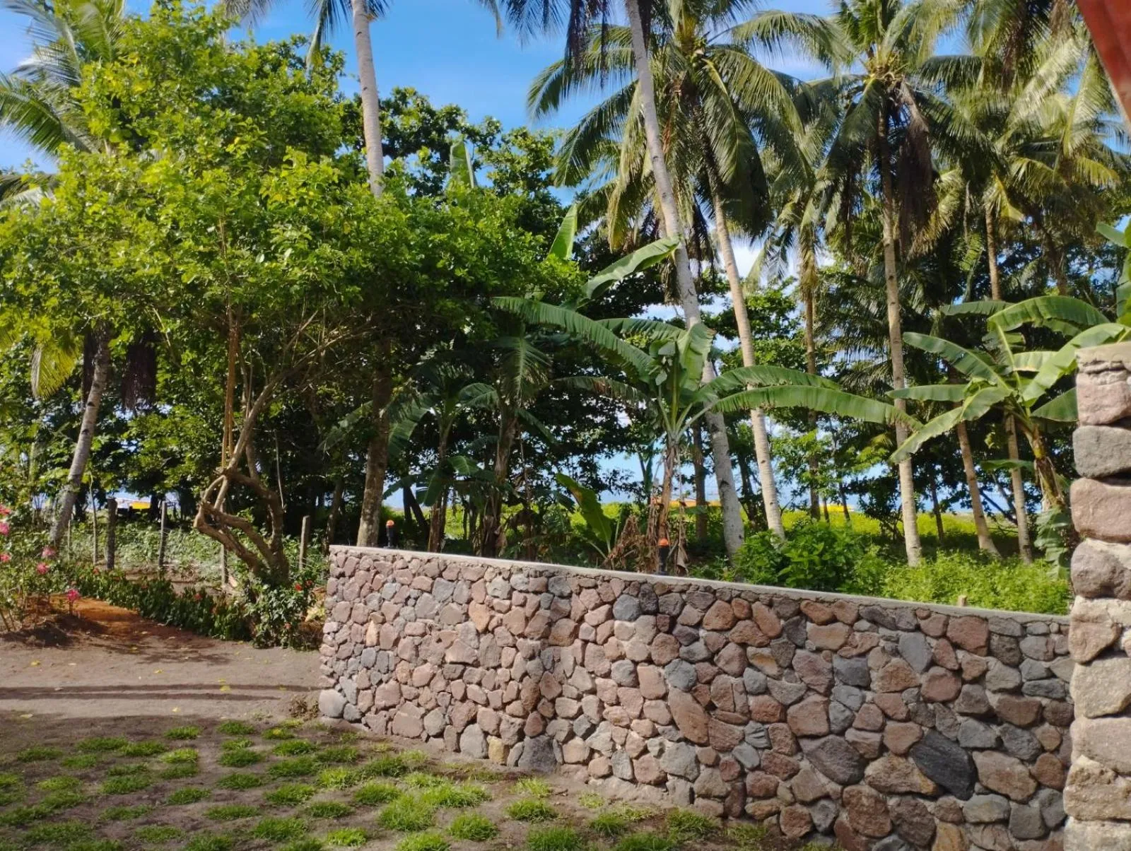 Garden view in SomeWhere Else Boutique Resort