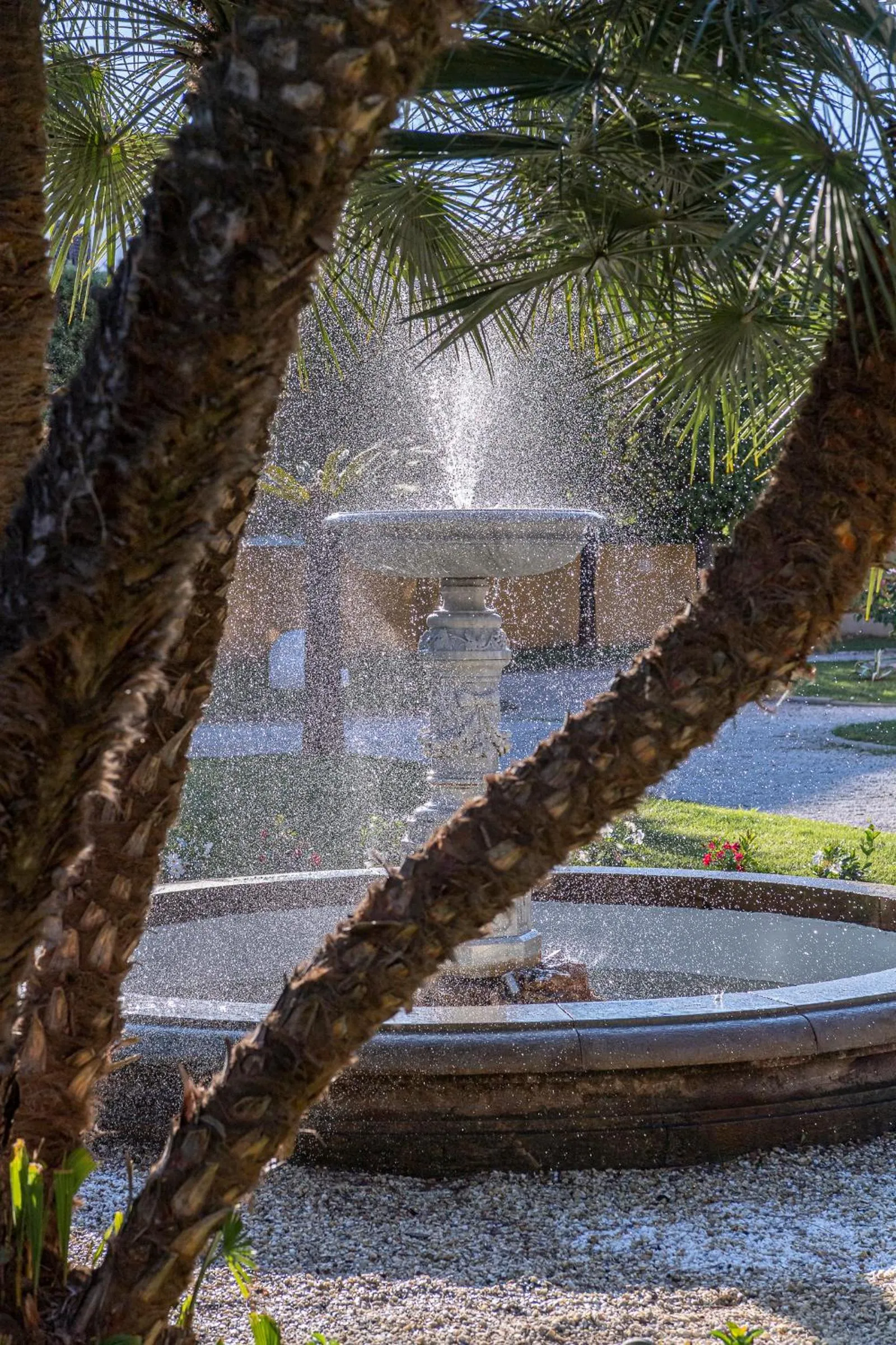 Garden in The Rif - Boutique Hotel