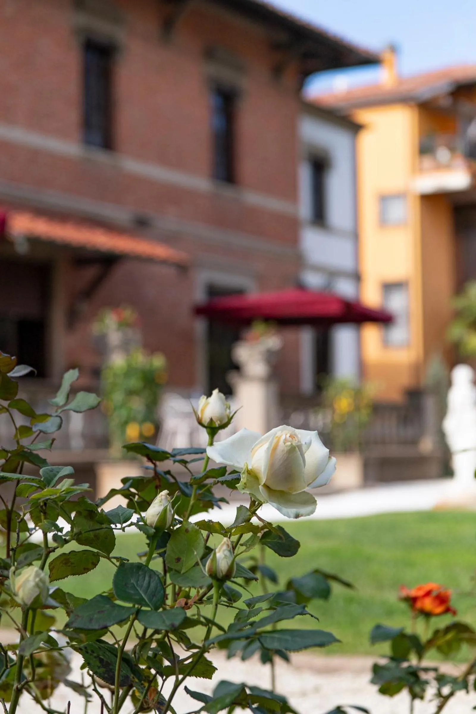 Garden in The Rif - Boutique Hotel