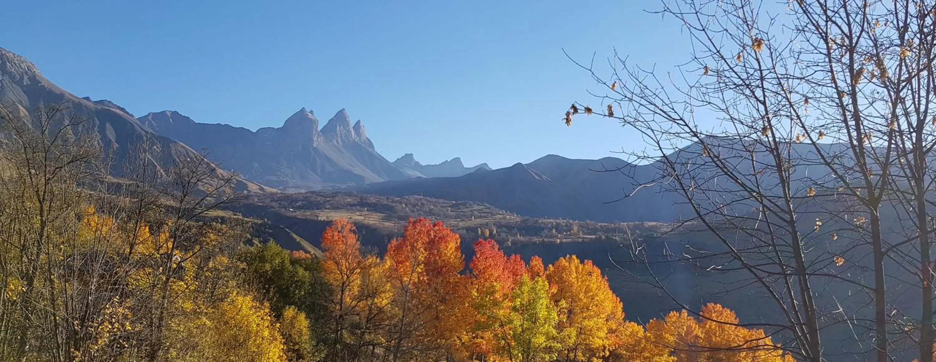 Natural landscape in Domaine de la Safranière - Chambre d'hote