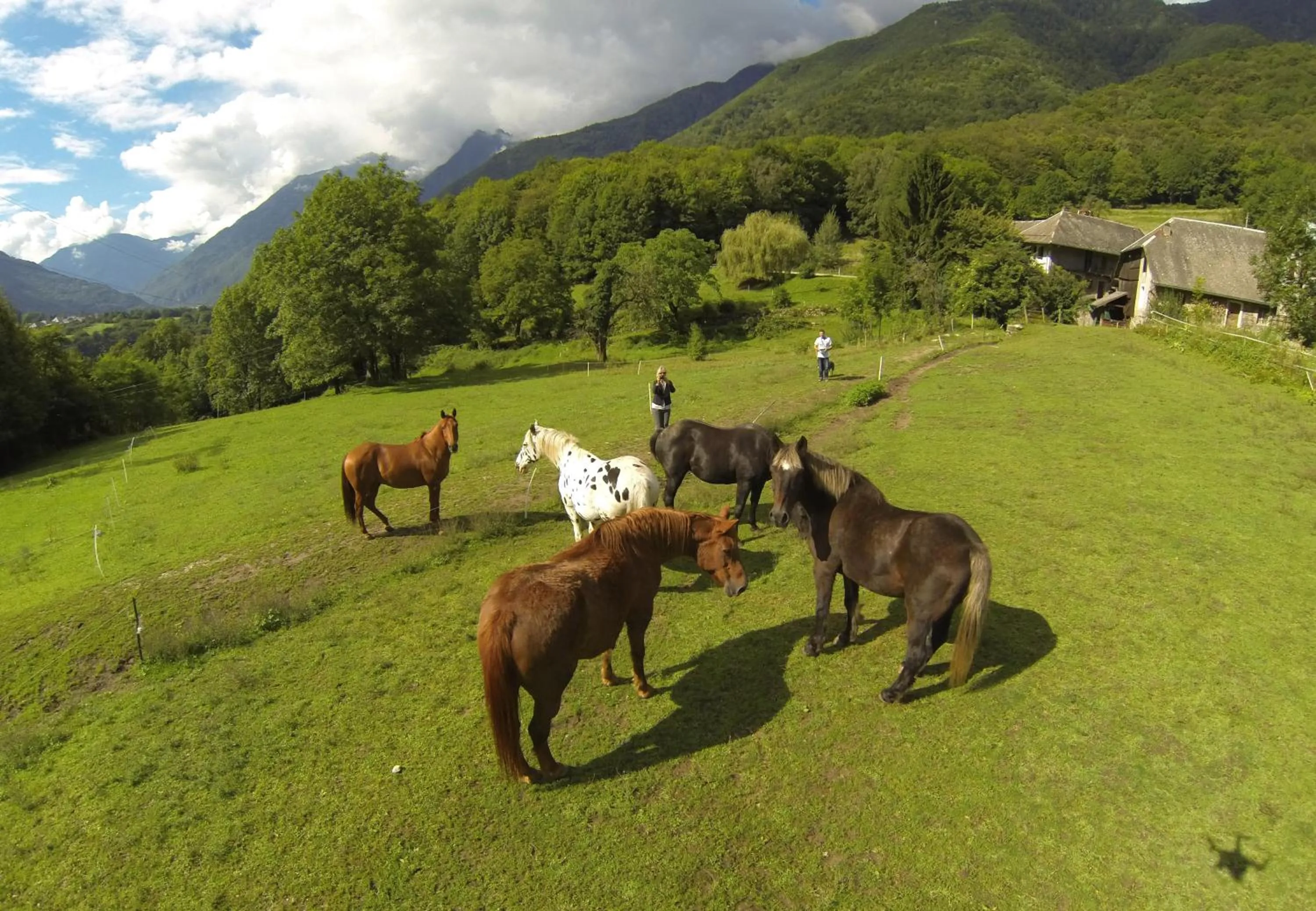Natural landscape in Domaine de la Safranière - Chambre d'hote