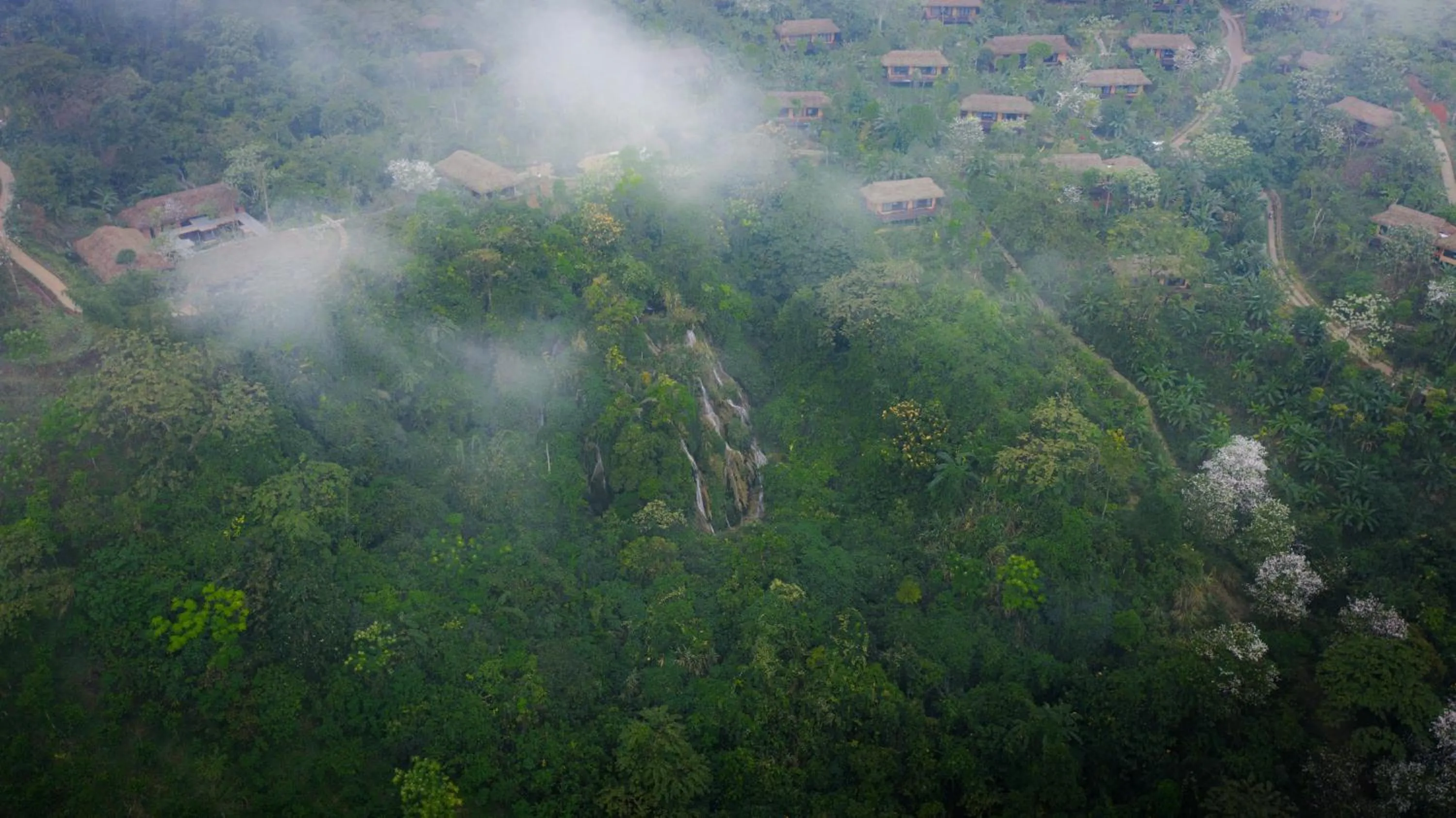 Bird's eye view in Avana Retreat