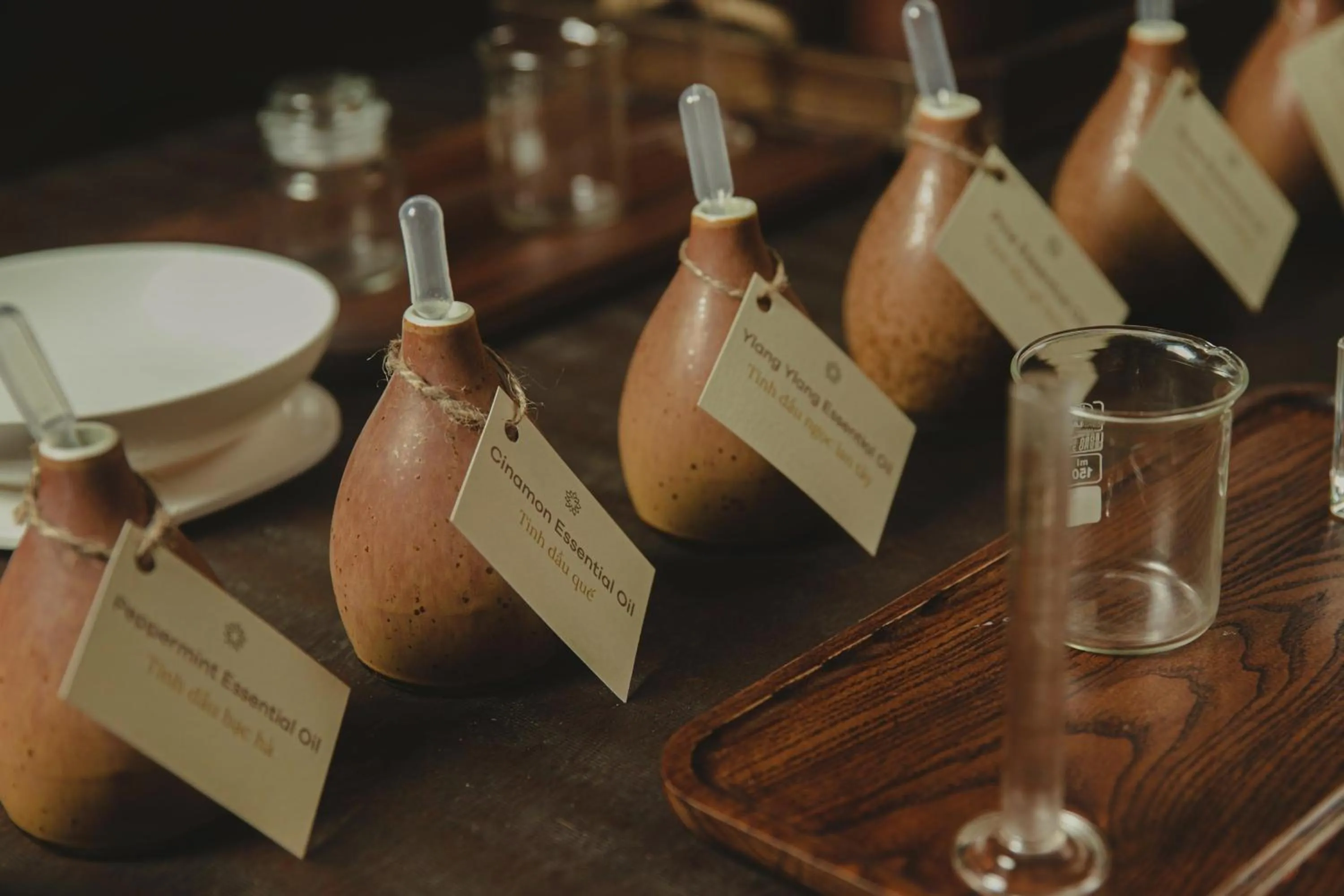 Activities in Avana Retreat